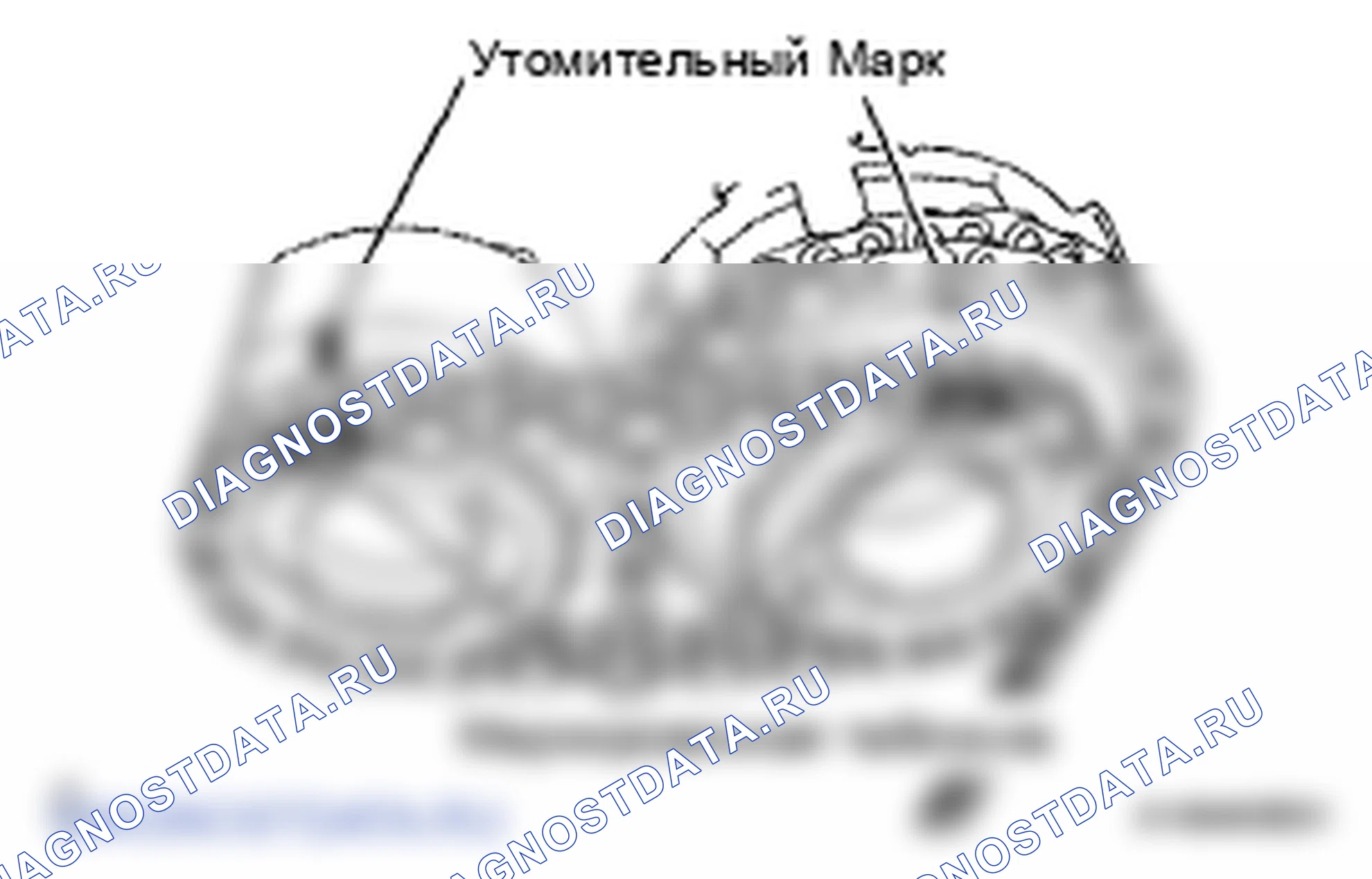 Рис. 433. Lexus LS IV