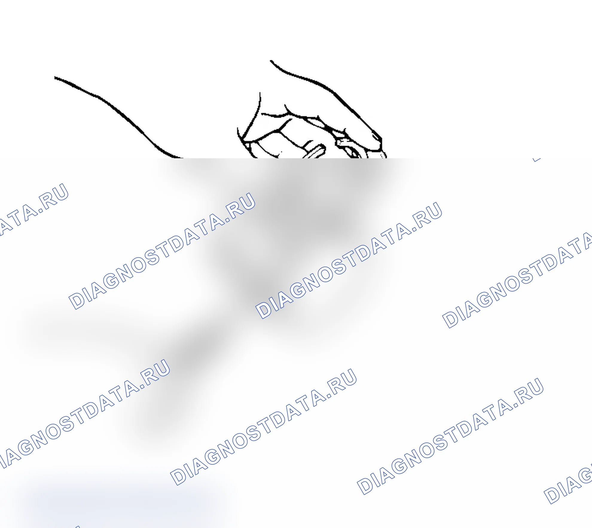 Рис. 334: ПОРШНЕВОЕ КОЛЬЦО. Mitsubishi Lancer Evolution IX