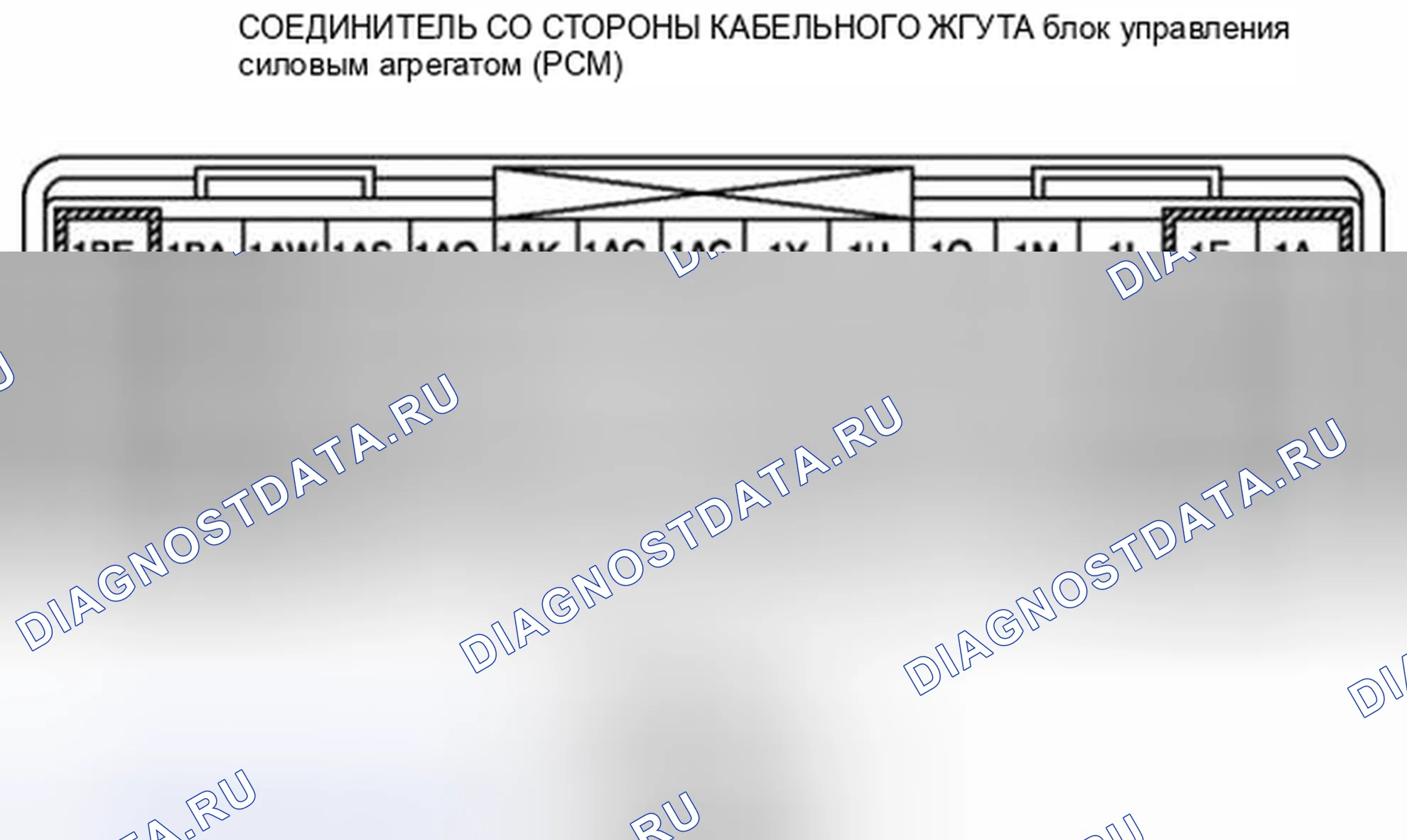 Рис. 432: Идентификация разъемов на стороне жгута проводов блок управления силовым агрегатом (PCM) (блок управления силовым агрегатом). Audi Q8 I
