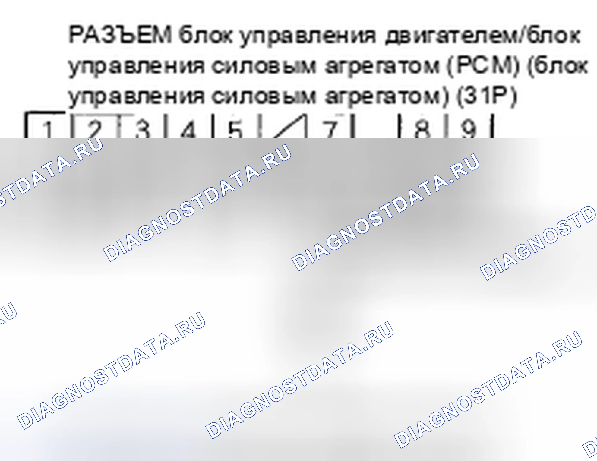 Рис. 16. Honda Element YH2 рестайлинг 2