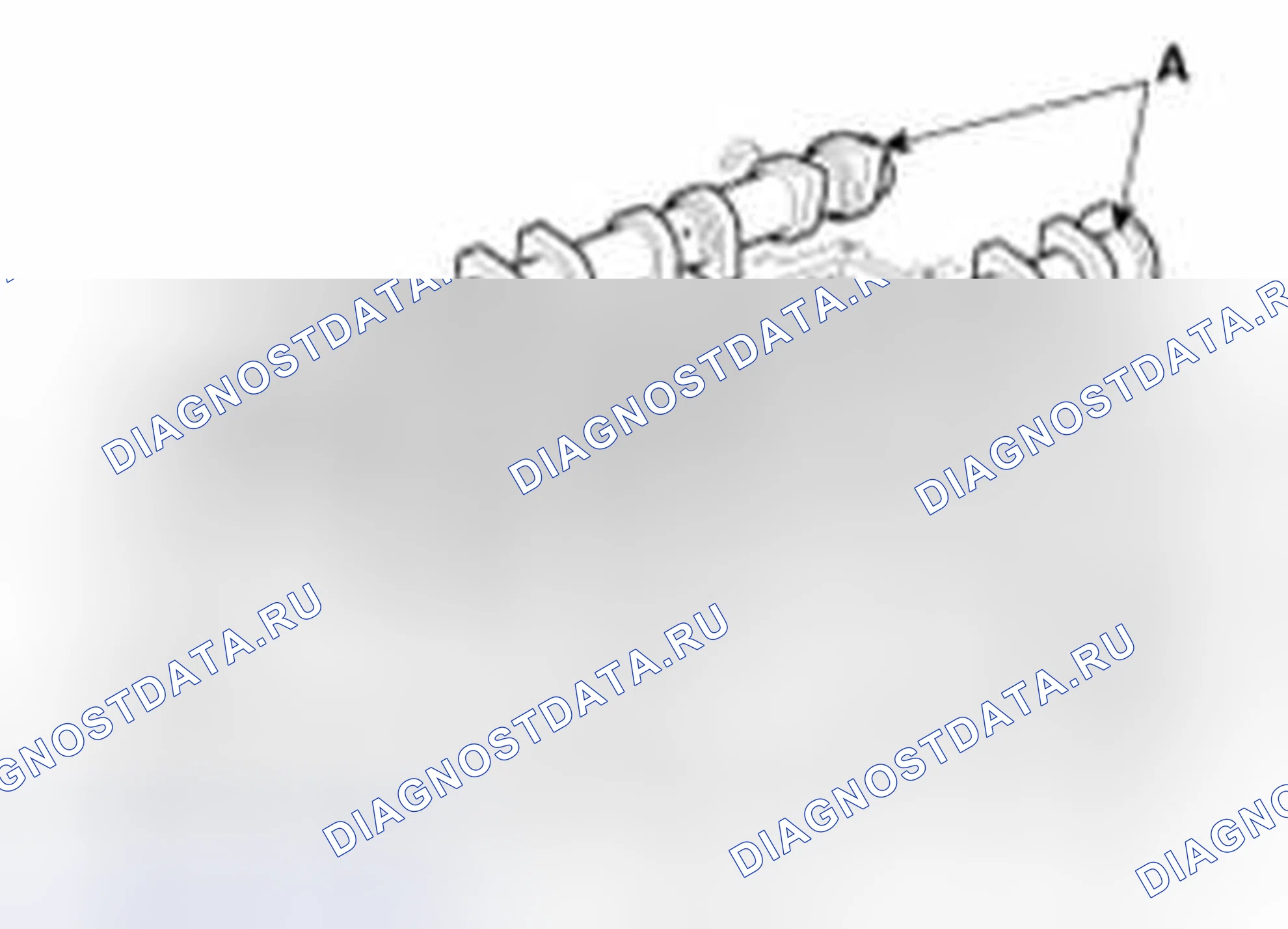 Рис. 213. Haval Beast (Shenshou) I