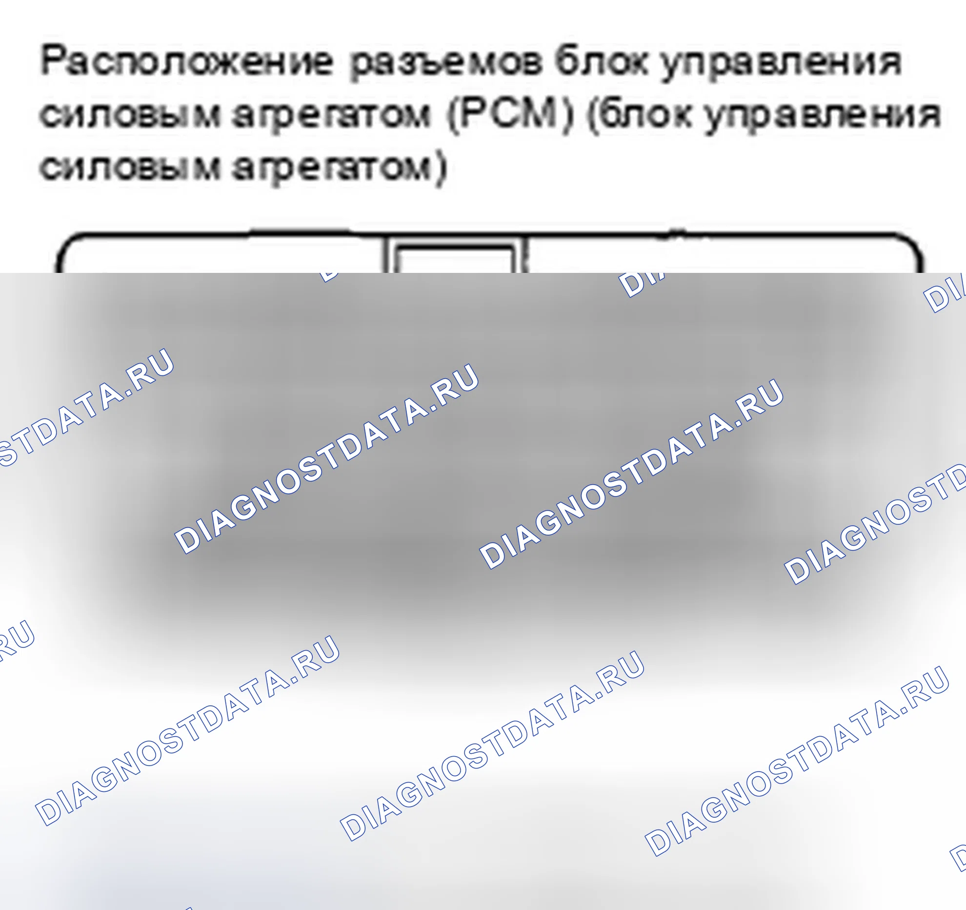 Рис. 302: Входы и выходы ИКМ разъема B (треугольник) (49P). Honda Insight ZE2 рестайлинг