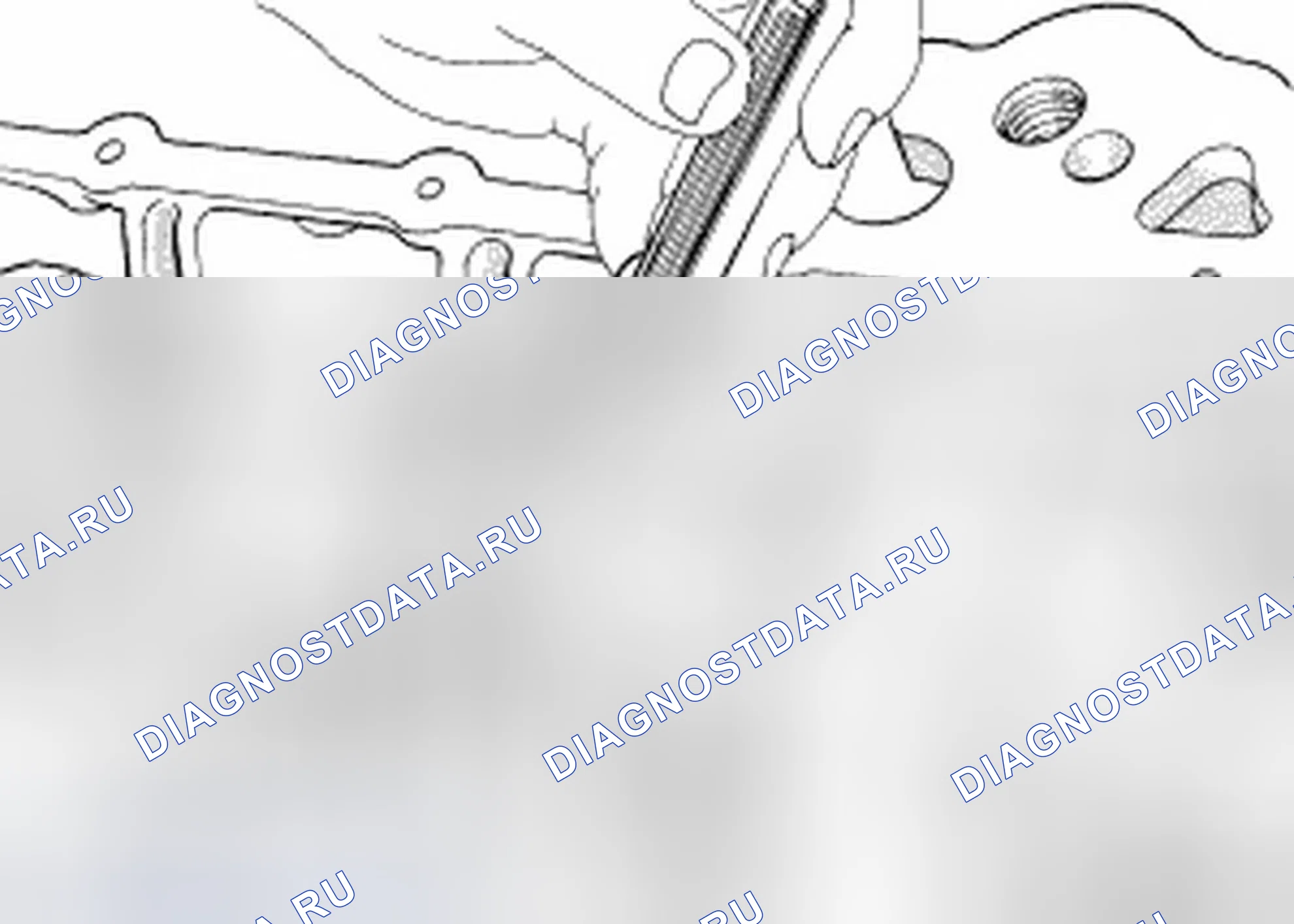 Рис. 209. Jeep Compass I