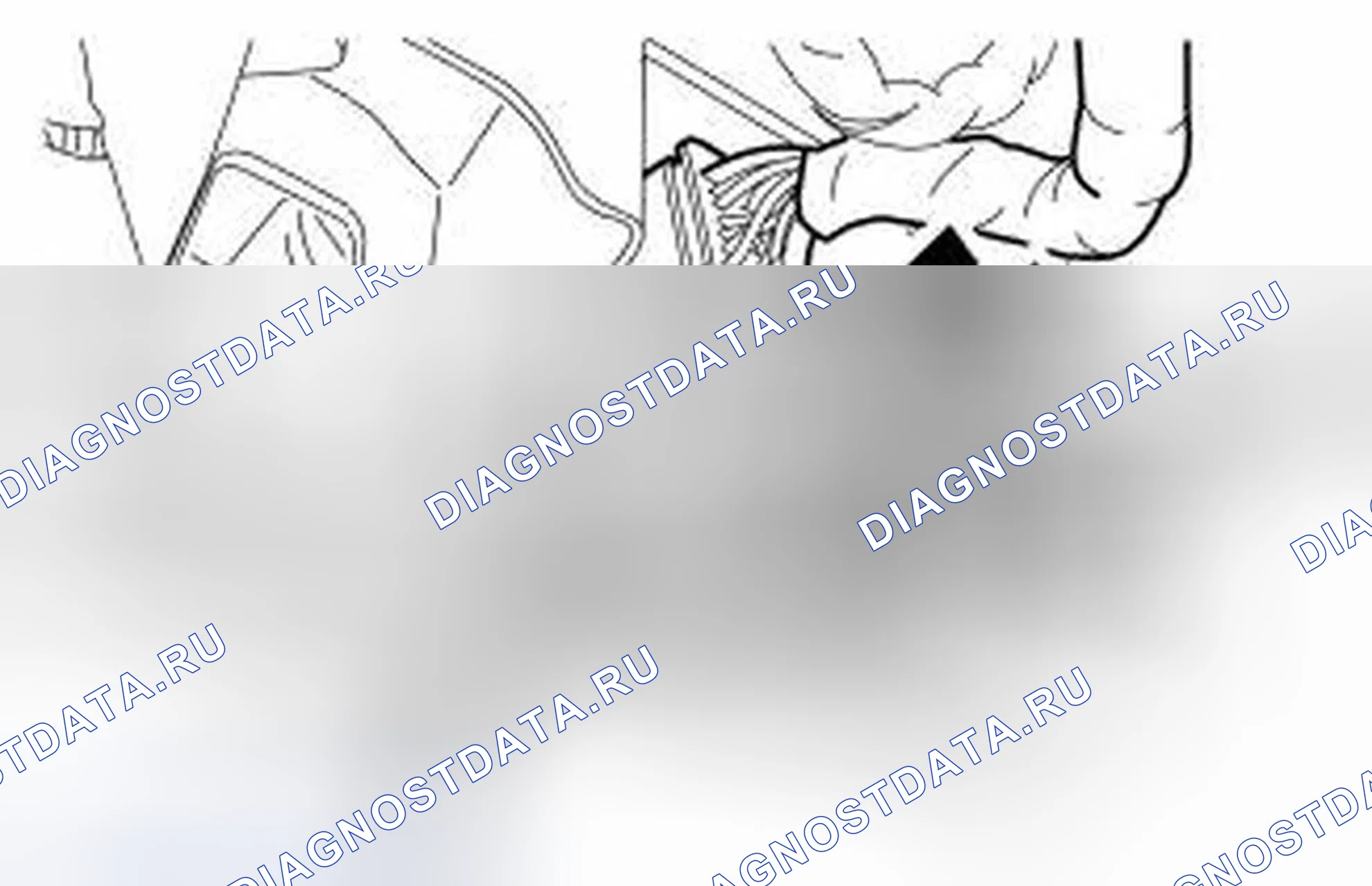 Рис. 63. Ford Mustang V рестайлинг 2