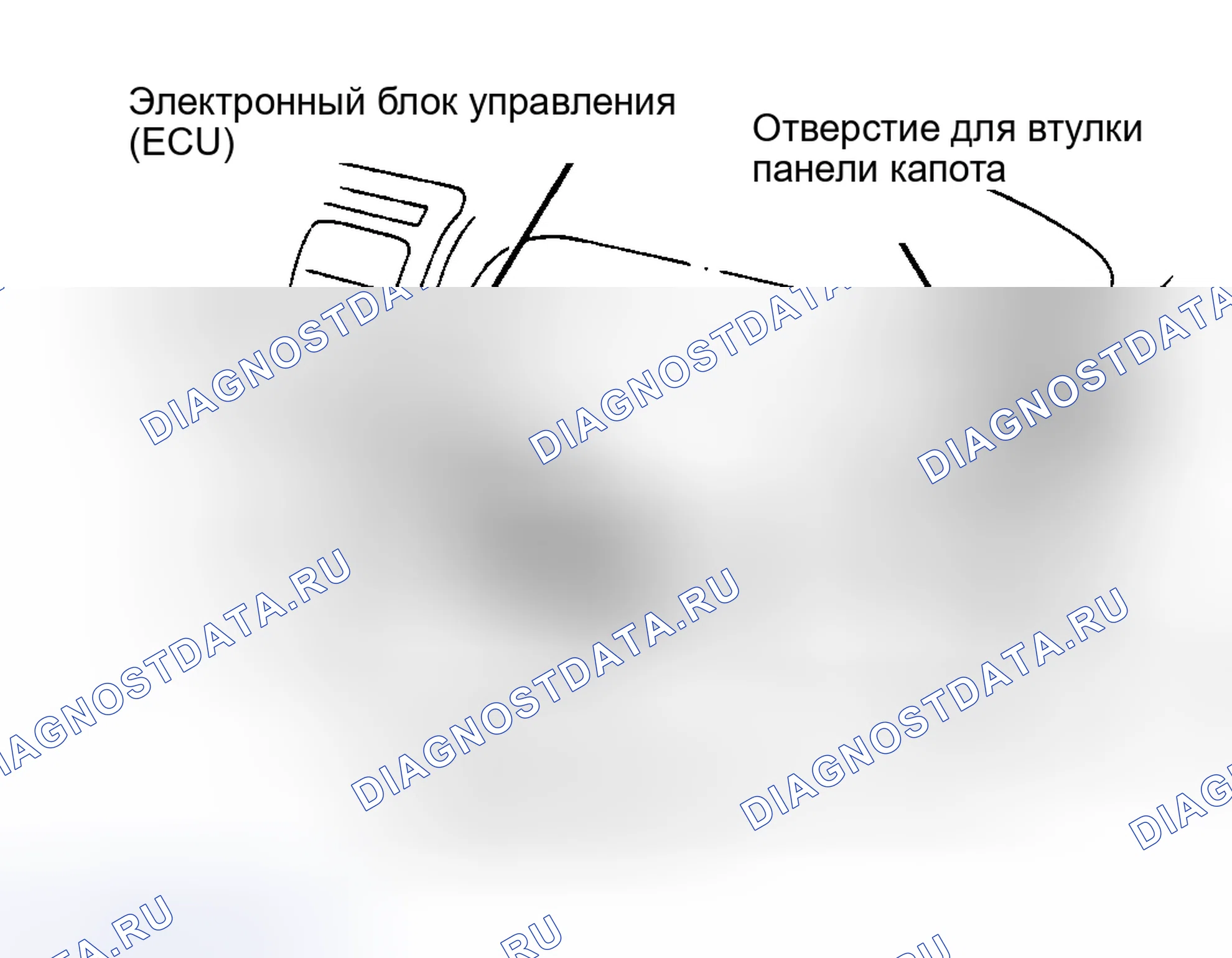 Рис. 9: Удаление (Celica). Toyota Camry V30