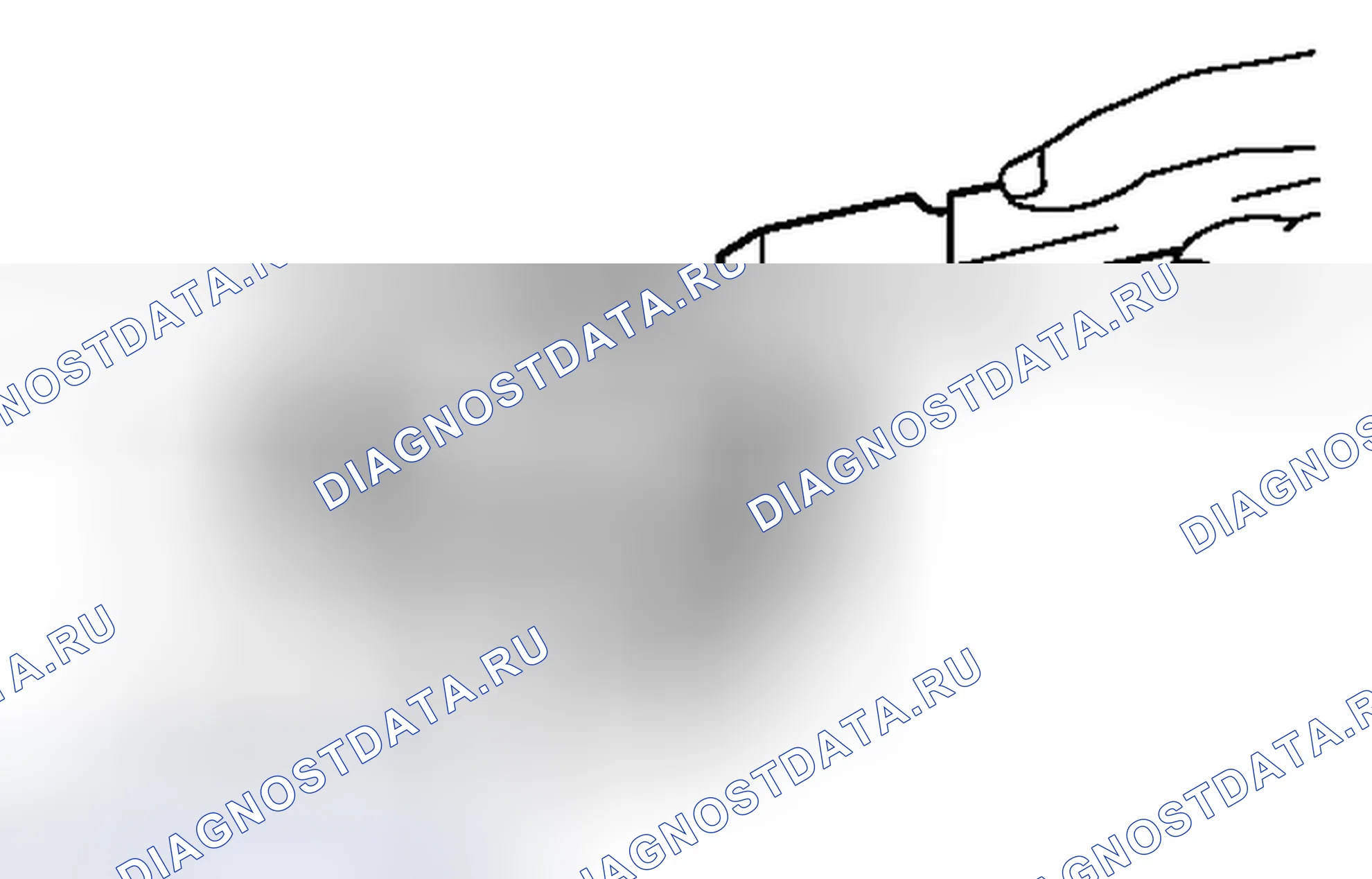 Рис. 369. Haval H3 I