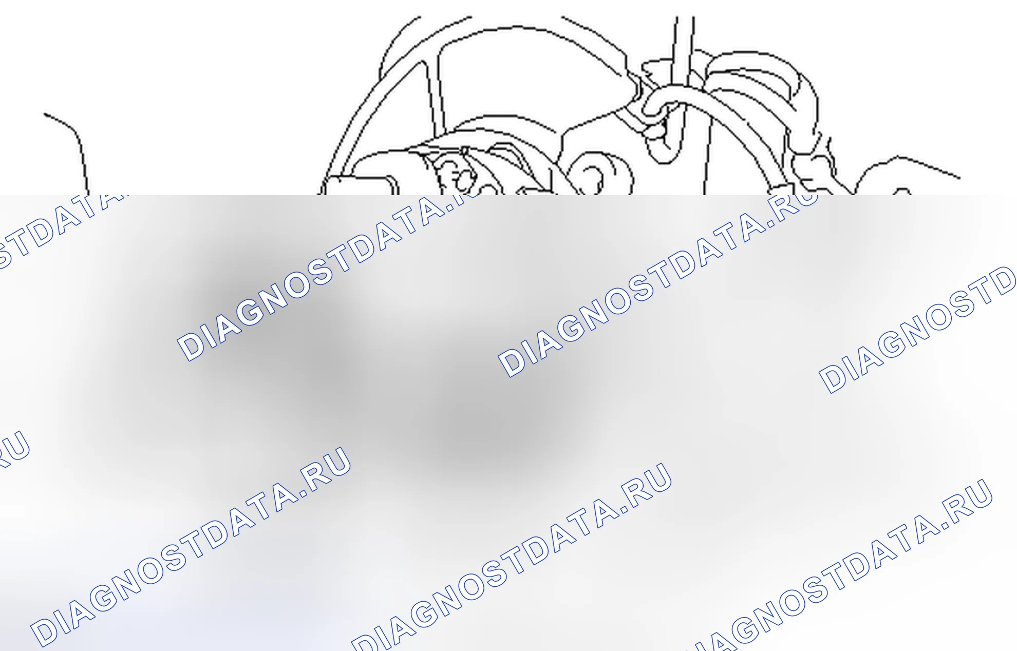 Рис. 43. Honda Accord V