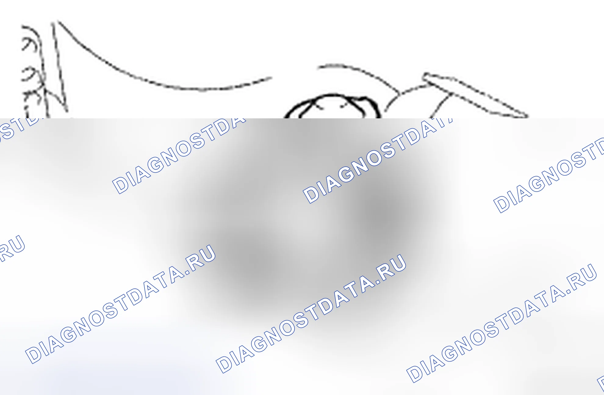 Рис. 119. Toyota Camry XV40