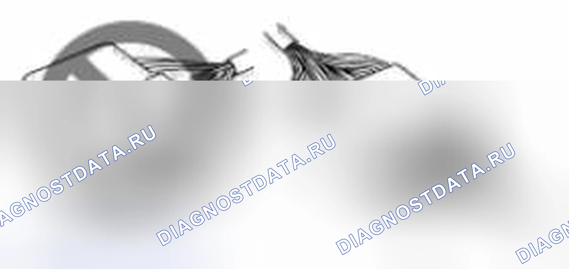 Рис. 6. Geely Vision X3 Pro I
