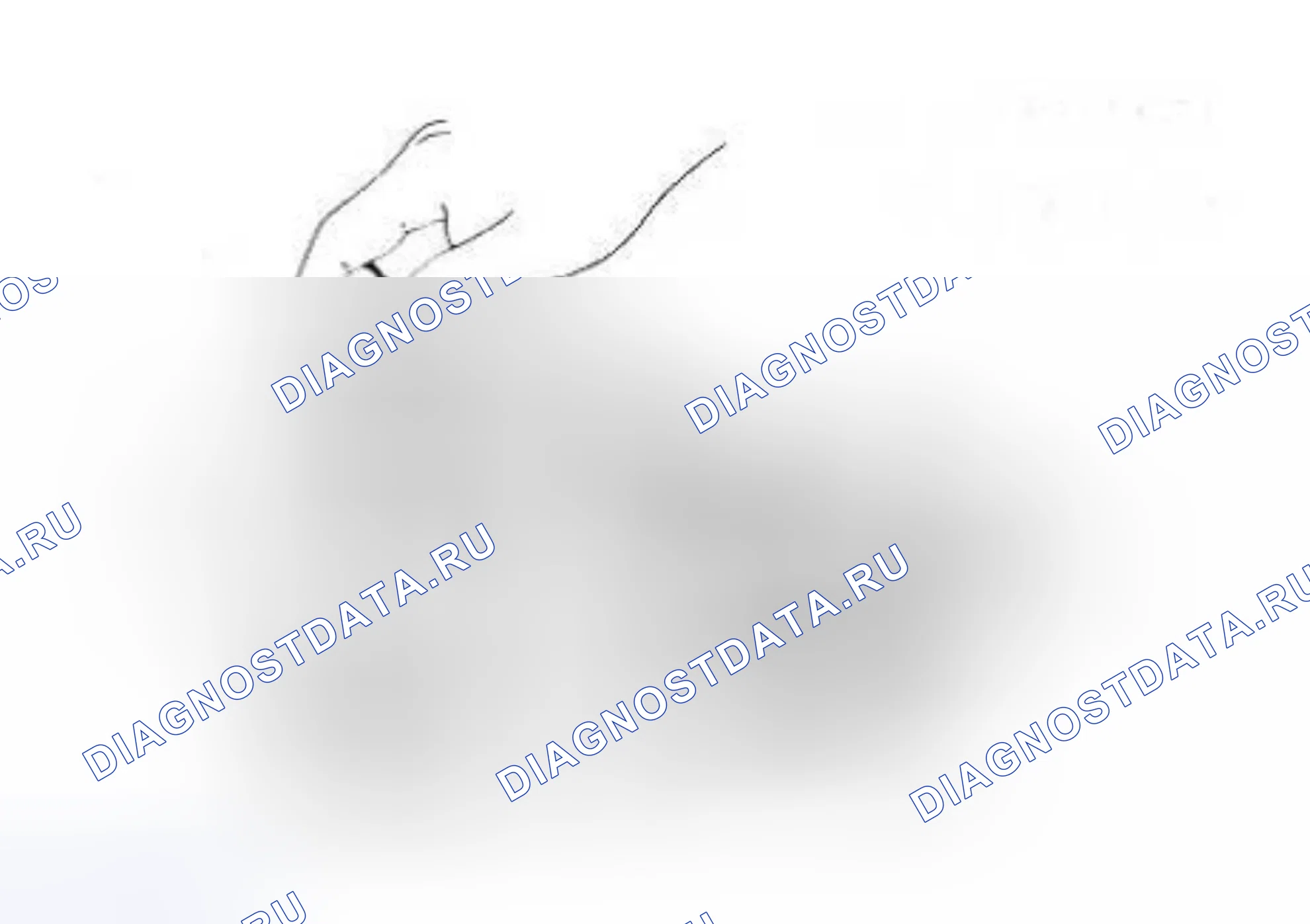 Разборка / установка — Great Wall Wingle-5. Great-Wall Wingle 5 I