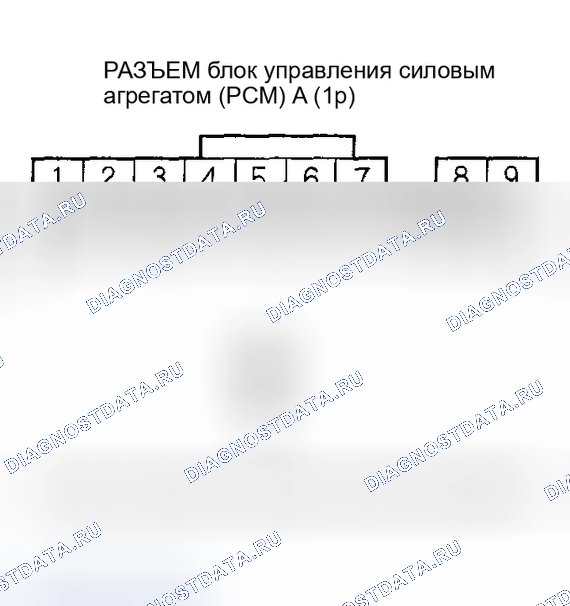 Рис. 422. Honda Accord VII рестайлинг