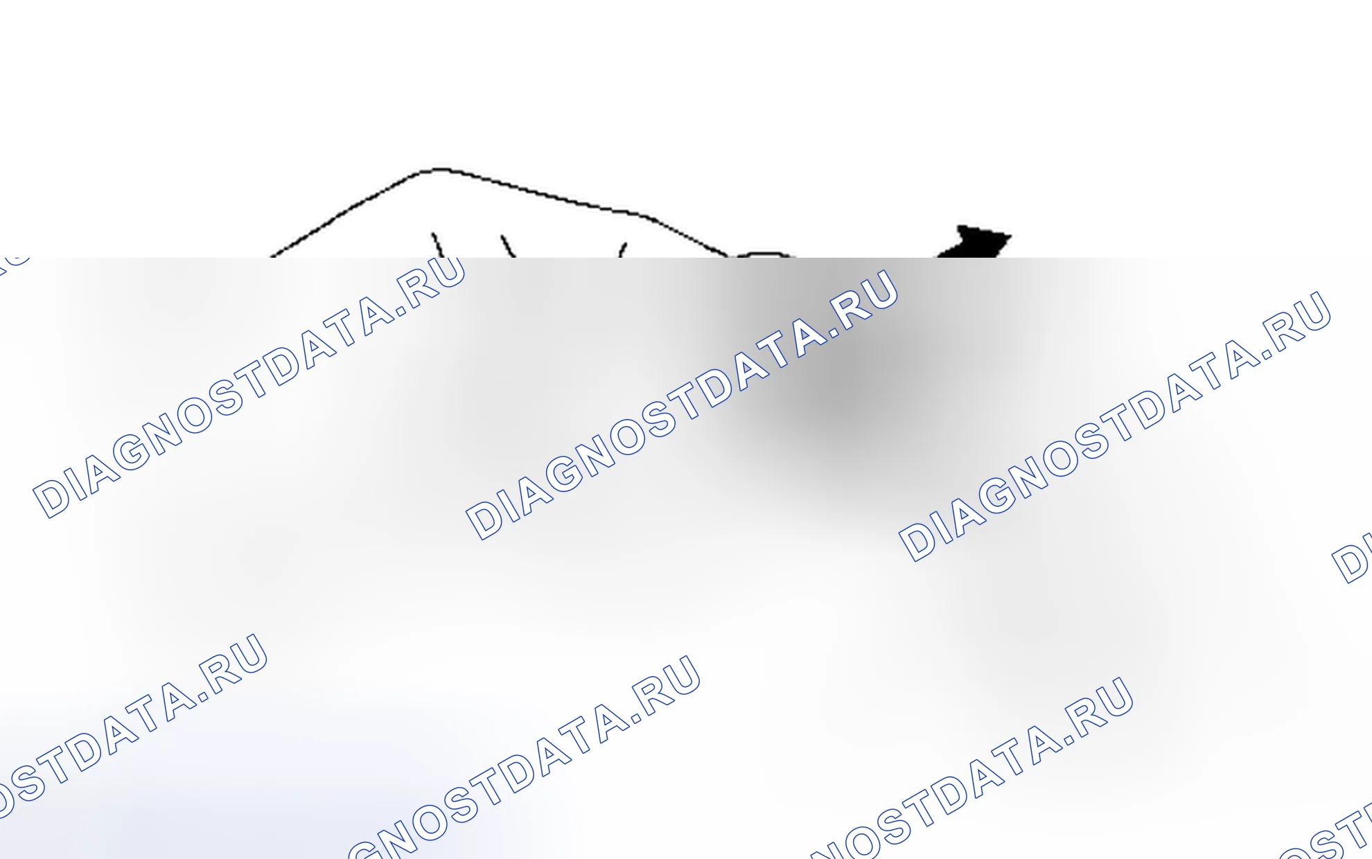 Рис. 20. Haval H4 I