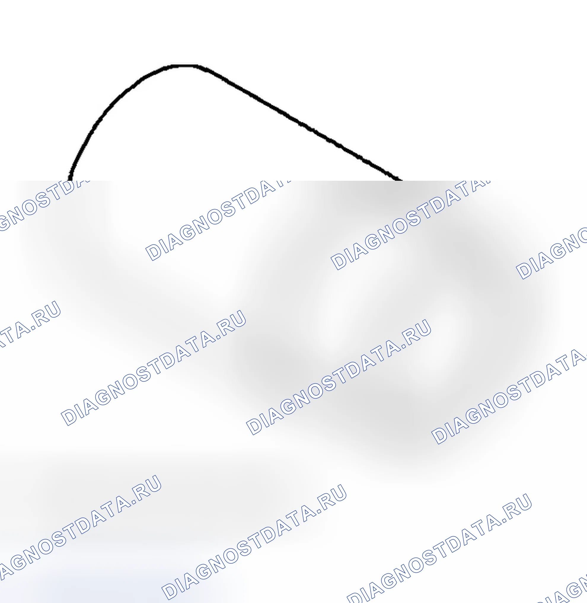 Рис. 55. Dodge Cab & Chassis R3500 