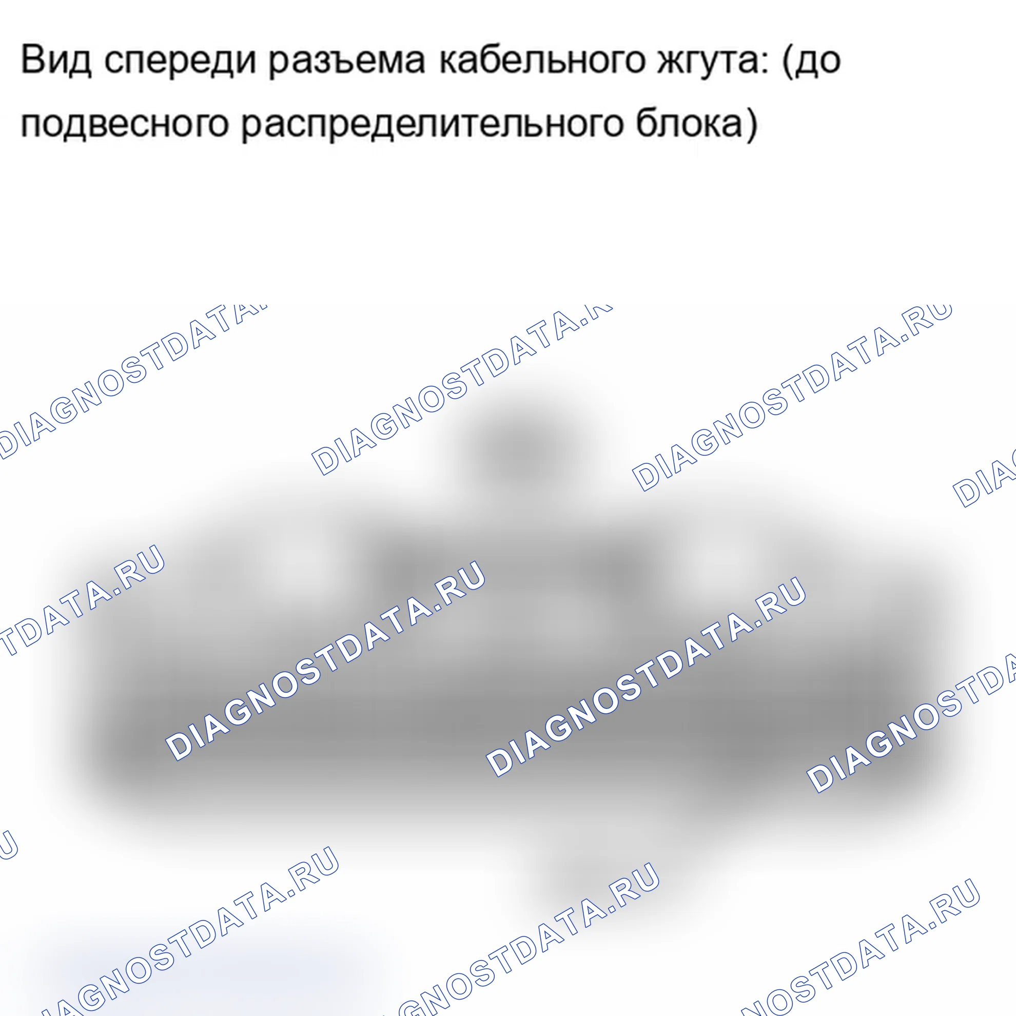 Рис. 148. Lexus IS F I