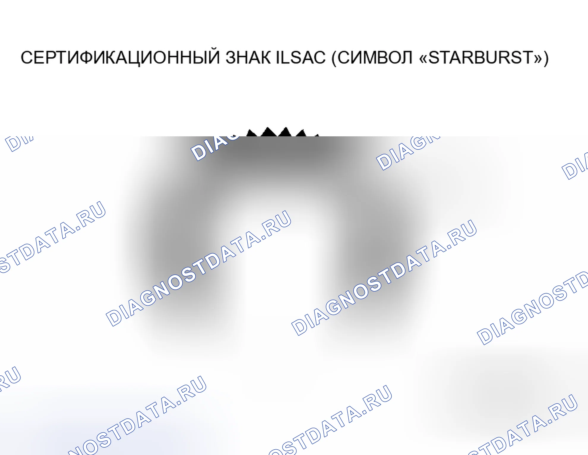 Рис. 40. Honda Envix I