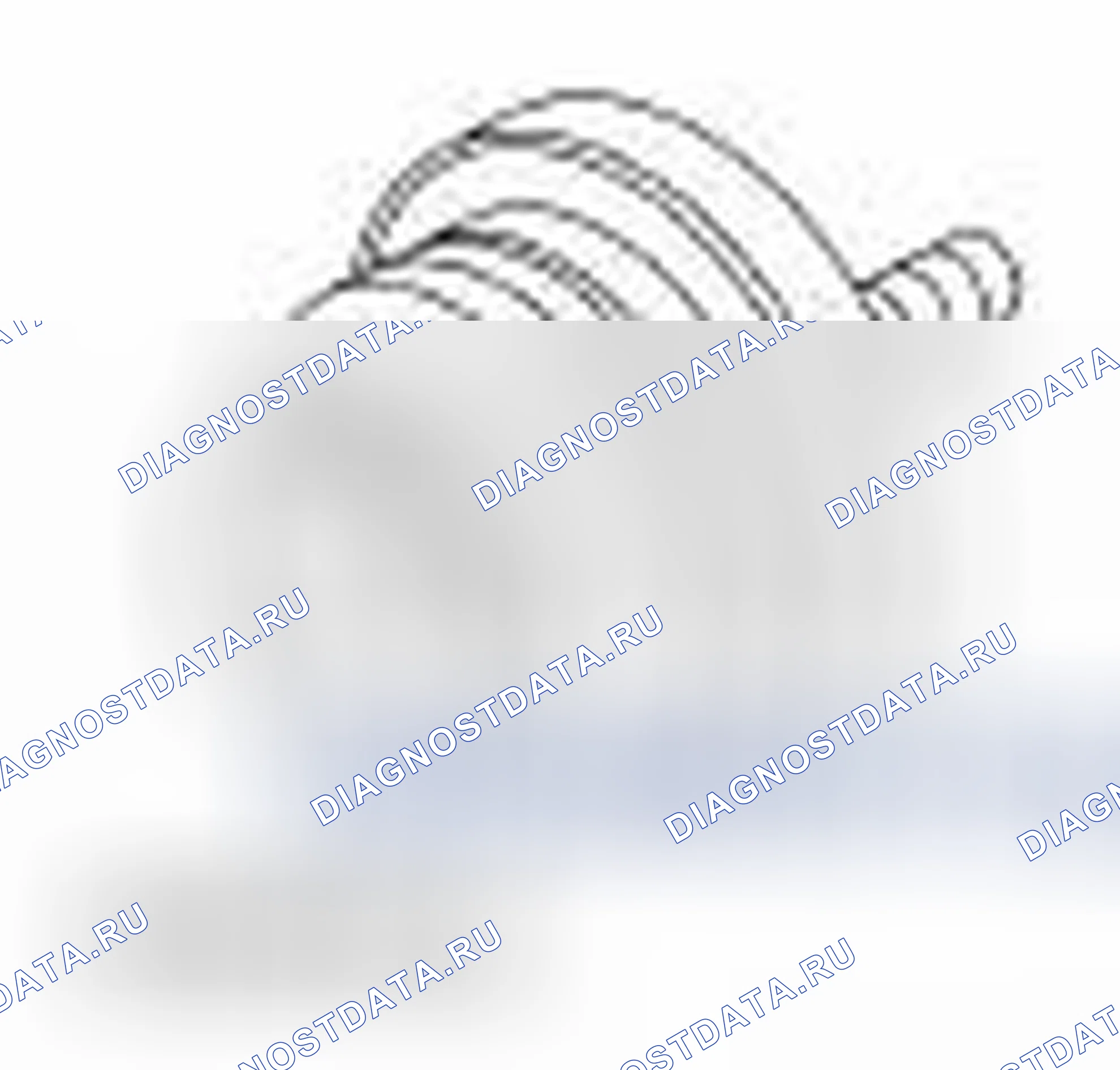 Рис. 18. Ford Freestyle I