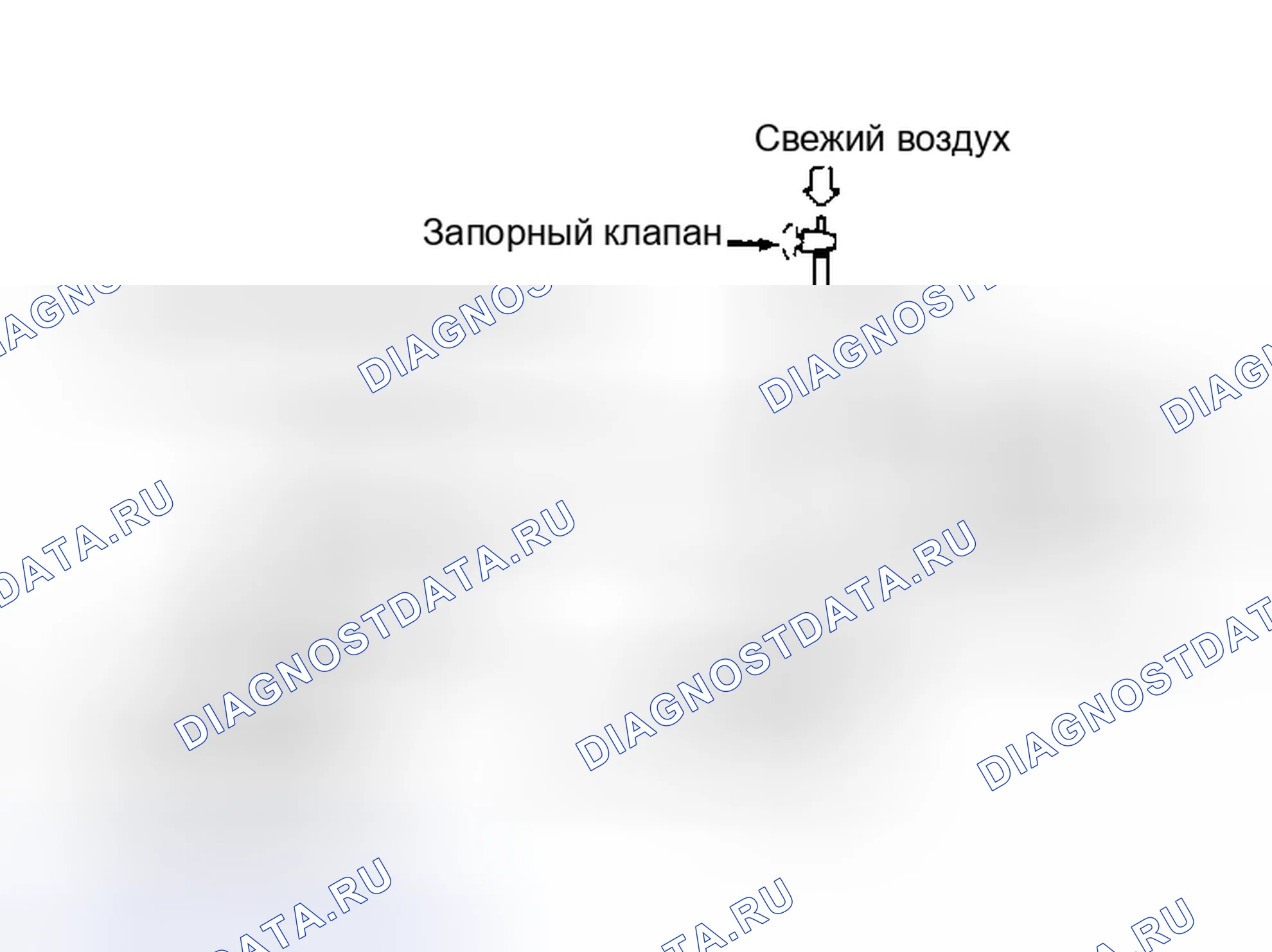 Рис. 57: УГОЛЬНАЯ КАНИСТРА. Nissan Pathfinder I