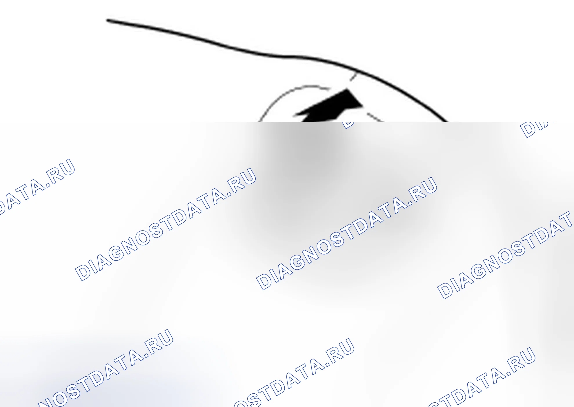 Рис. 58. Ford Focus II