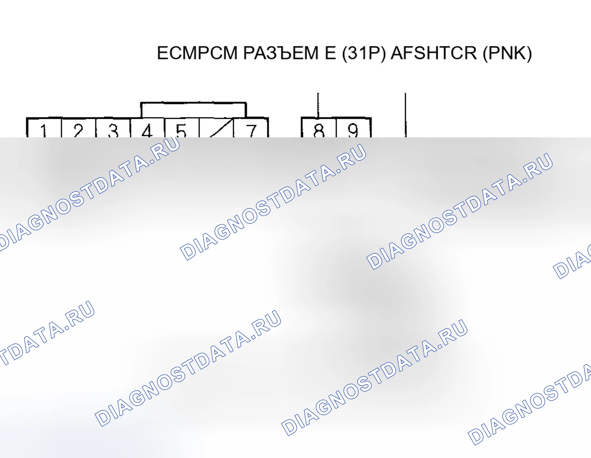 Рис. 82. Honda Accord VII рестайлинг