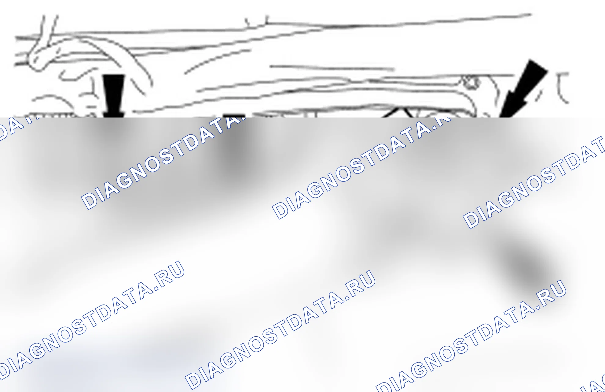Рис. 23. Ford Cutaway E350 Super Duty 