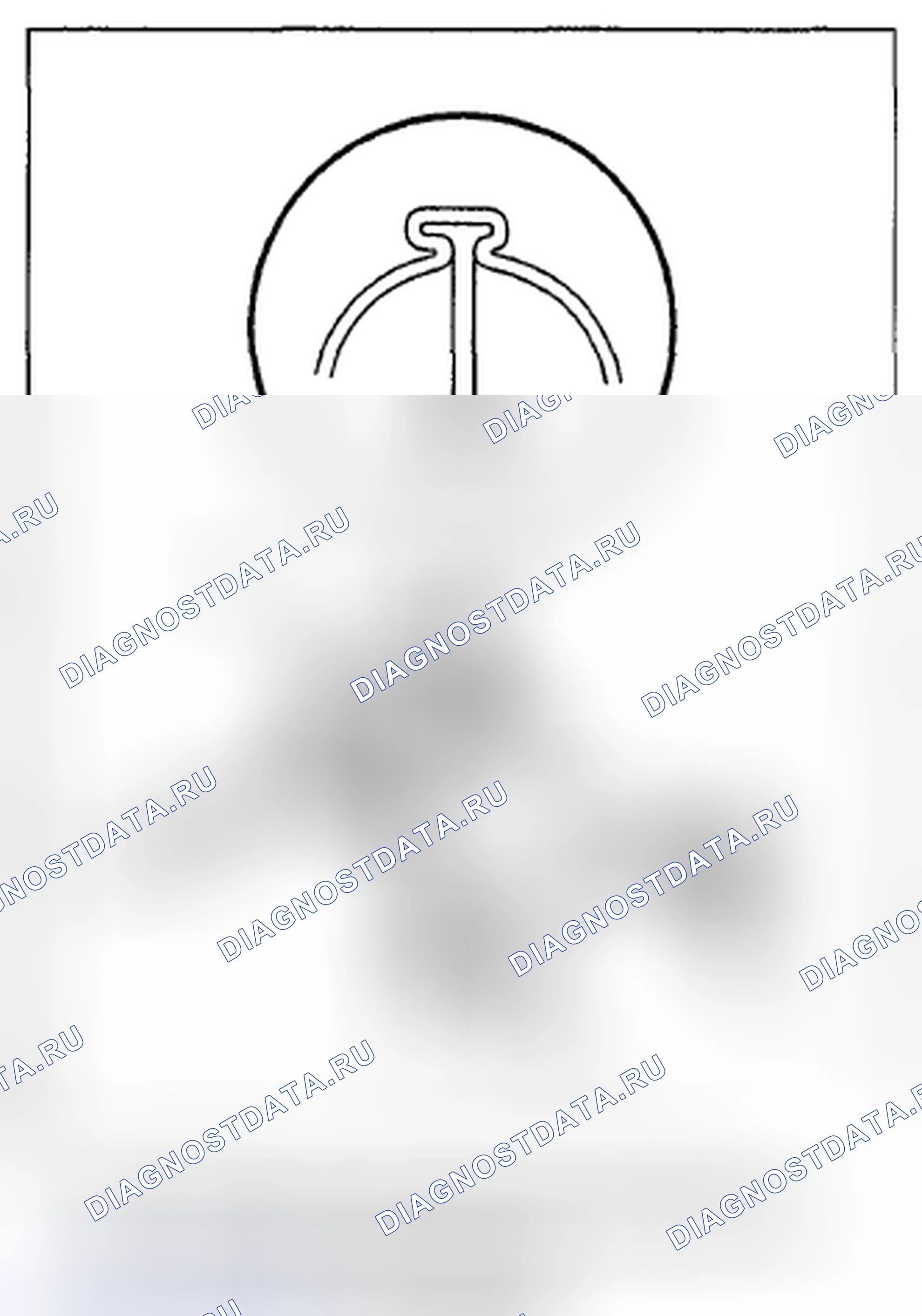 Рис. 81. Subaru Impreza WRX STI GR