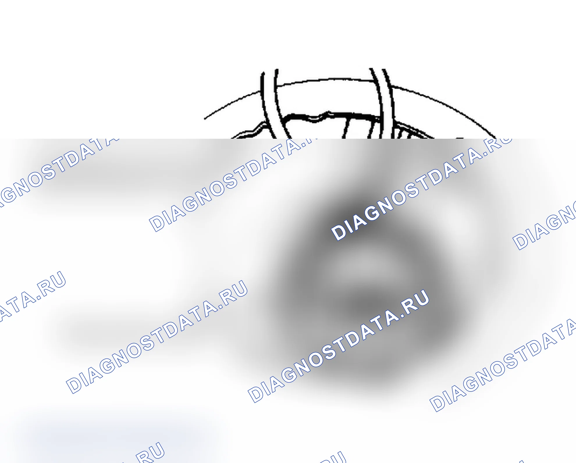 Рис. 2. Volkswagen Passat B3