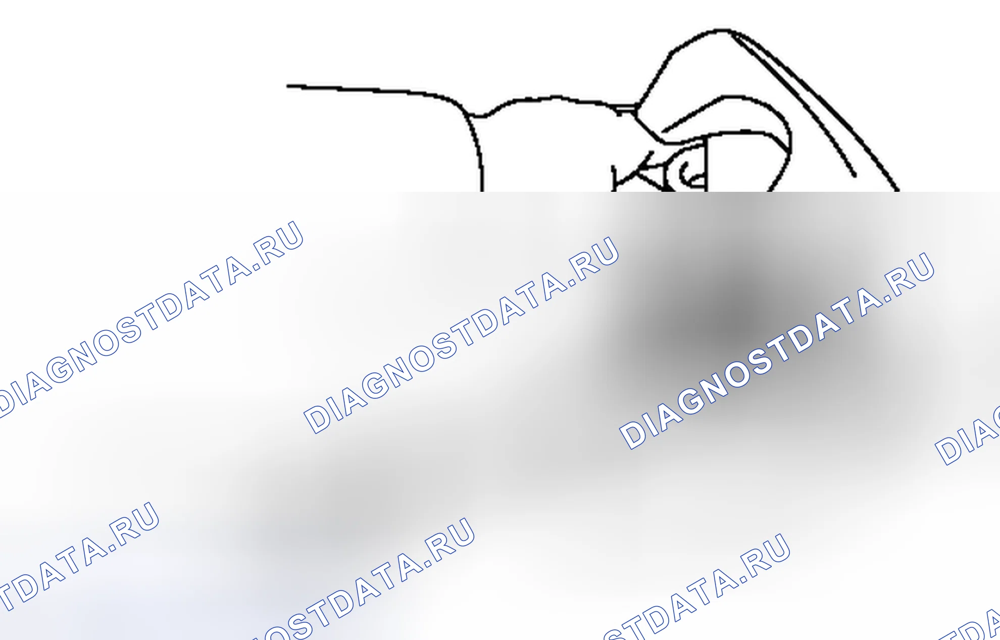 Рис. 86: РАЗБОРКА [08 / 2013 -]. Haval Raptor I
