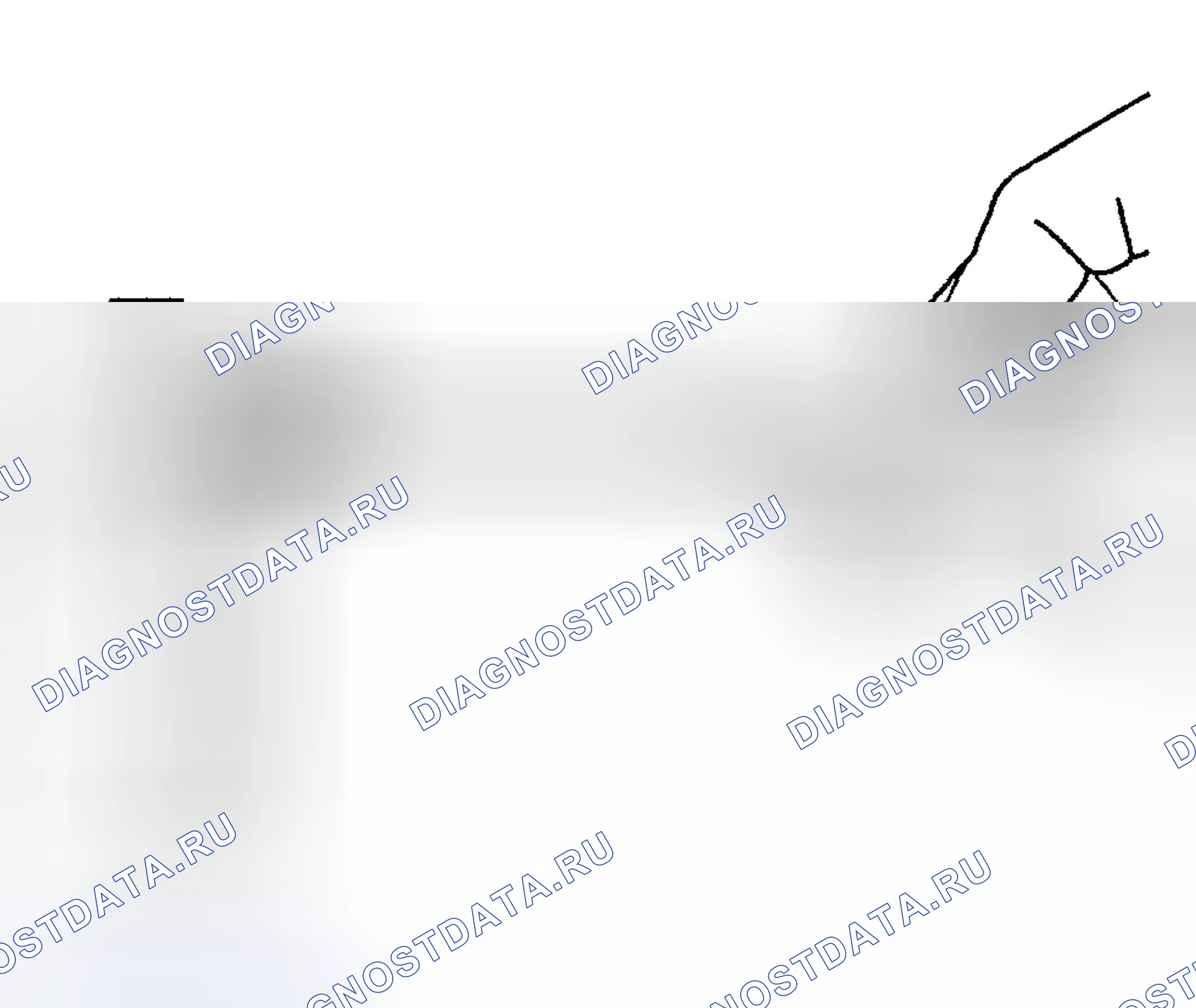 Рис. 123. Hyundai Tiburon II рестайлинг