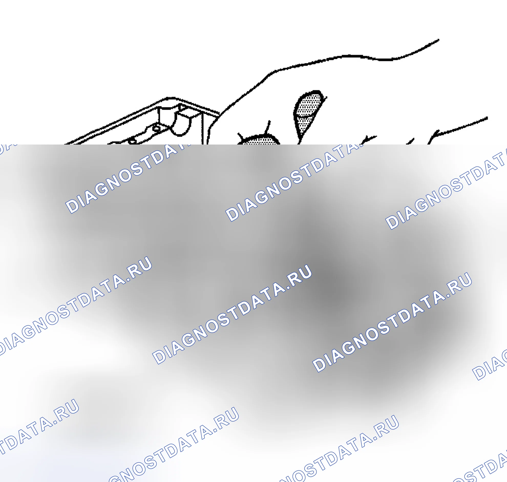 Рис. 1578. Hyundai Terracan I рестайлинг
