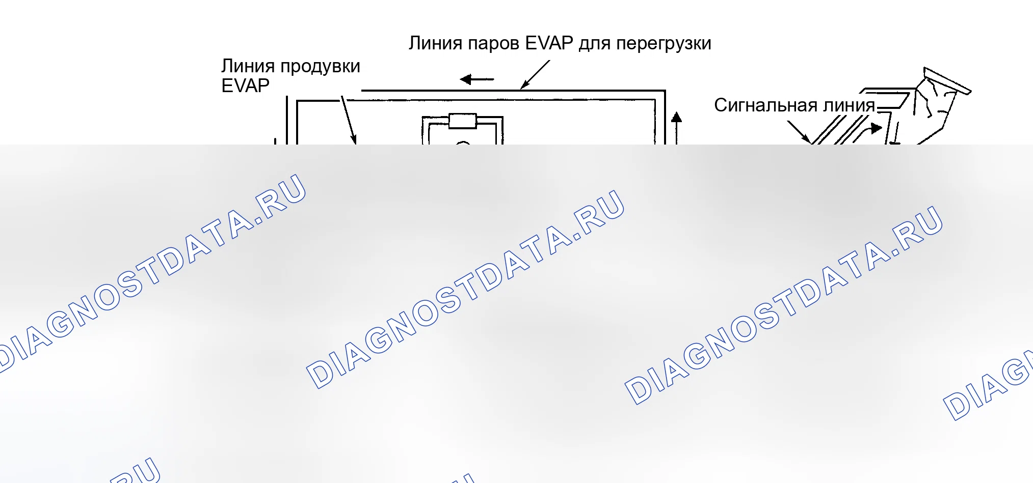 Рис. 4: БОРТОВАЯ СИСТЕМА УЛАВЛИВАНИЯ ПАРОВ ПРИ ПЕРЕГРУЗКЕ ТОПЛИВА. Infiniti I30 II
