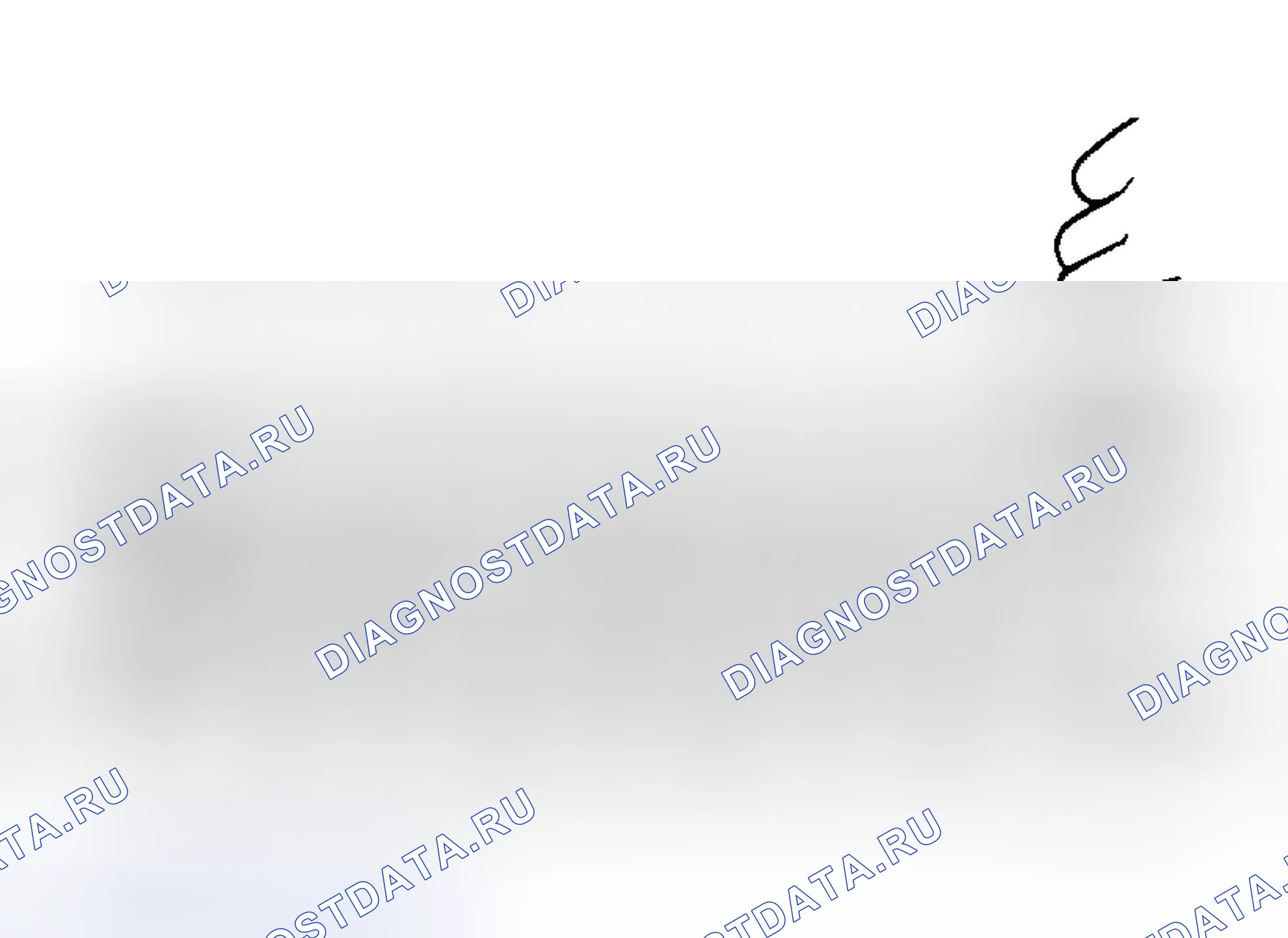 Рис. 10. Daihatsu Rocky I