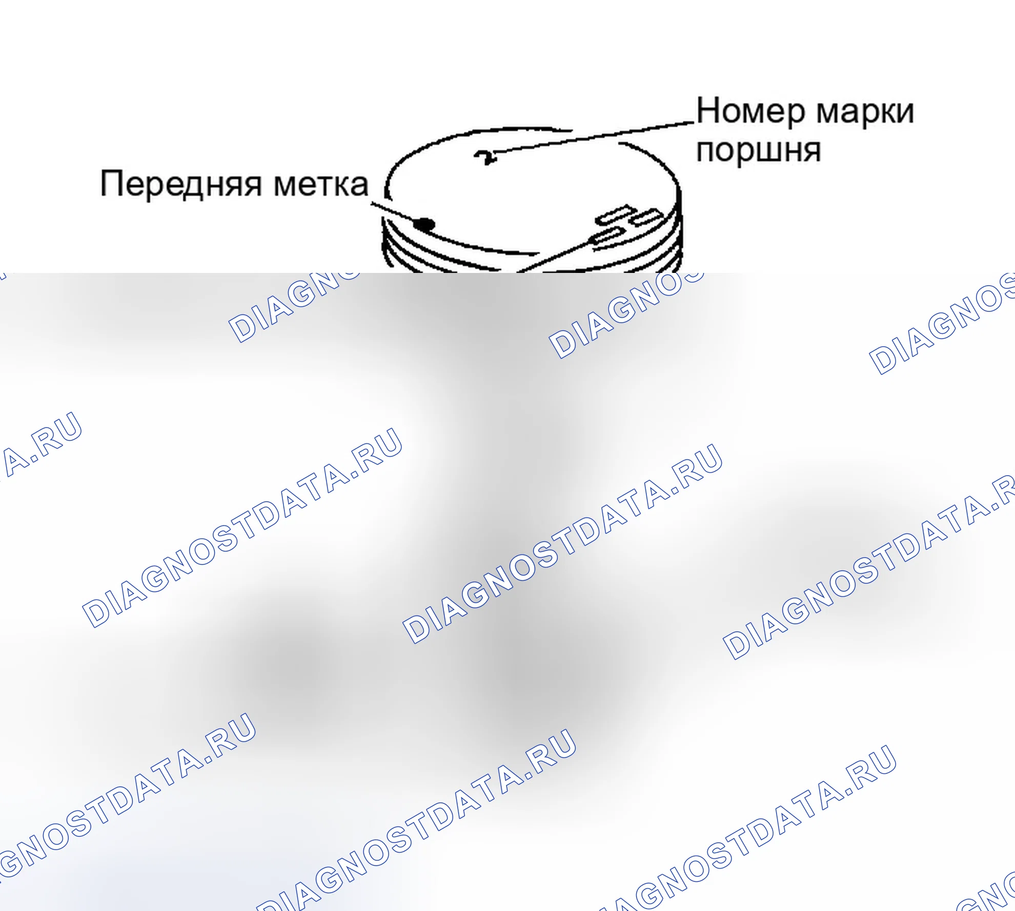 Рис. 221. Infiniti M35 III