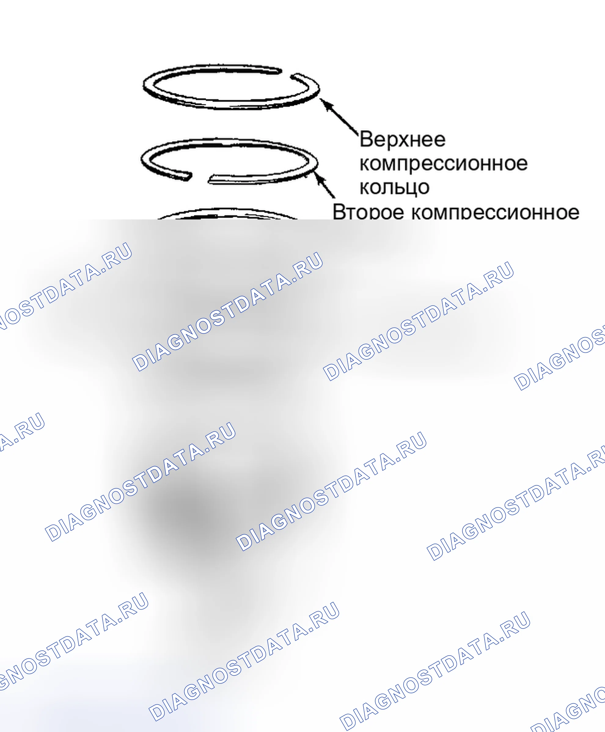 Рис. 39: УСТАНОВОЧНЫЕ КОЛЬЦА. Chevrolet Camaro III рестайлинг
