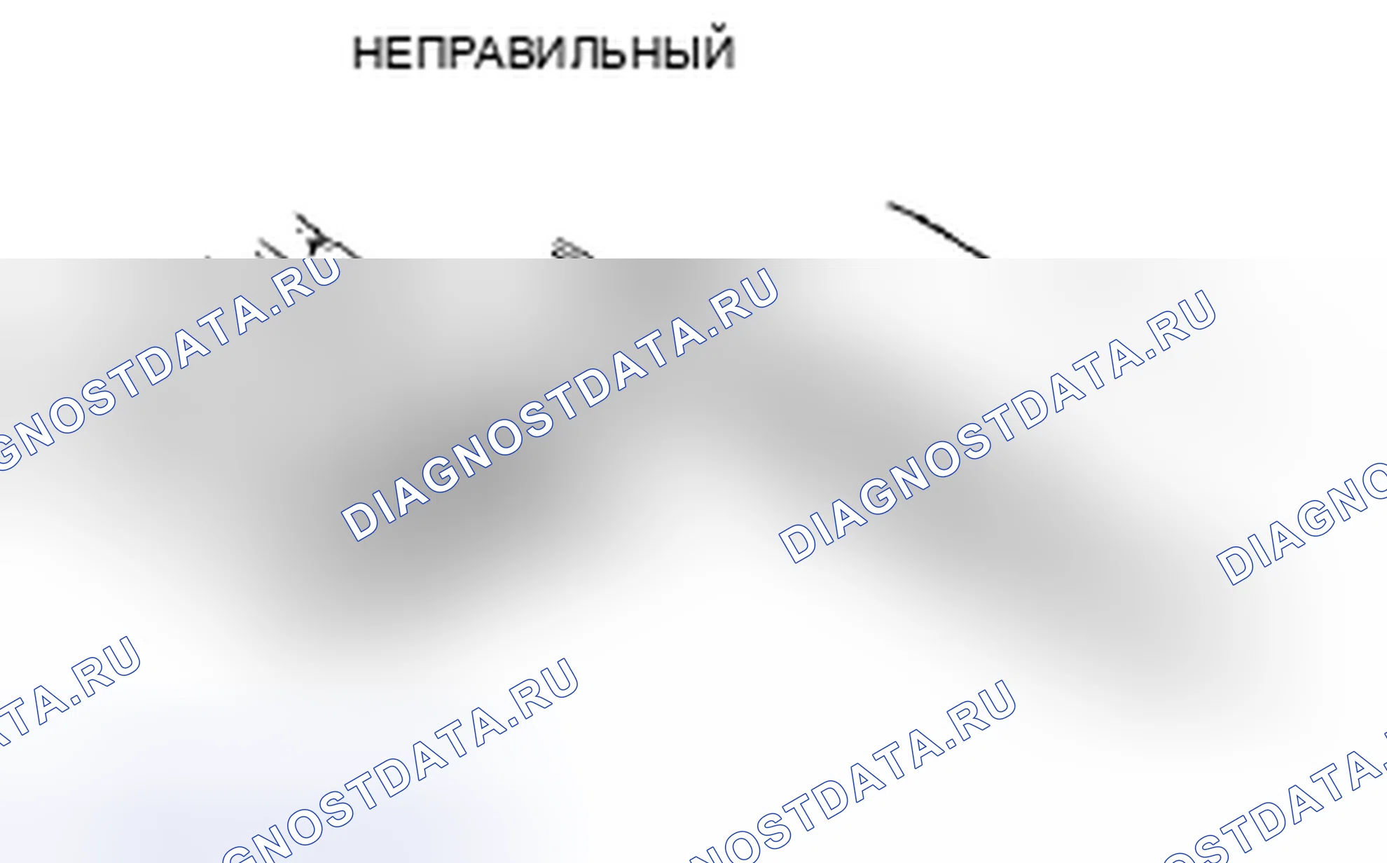 Рис. 6. Toyota Corolla X