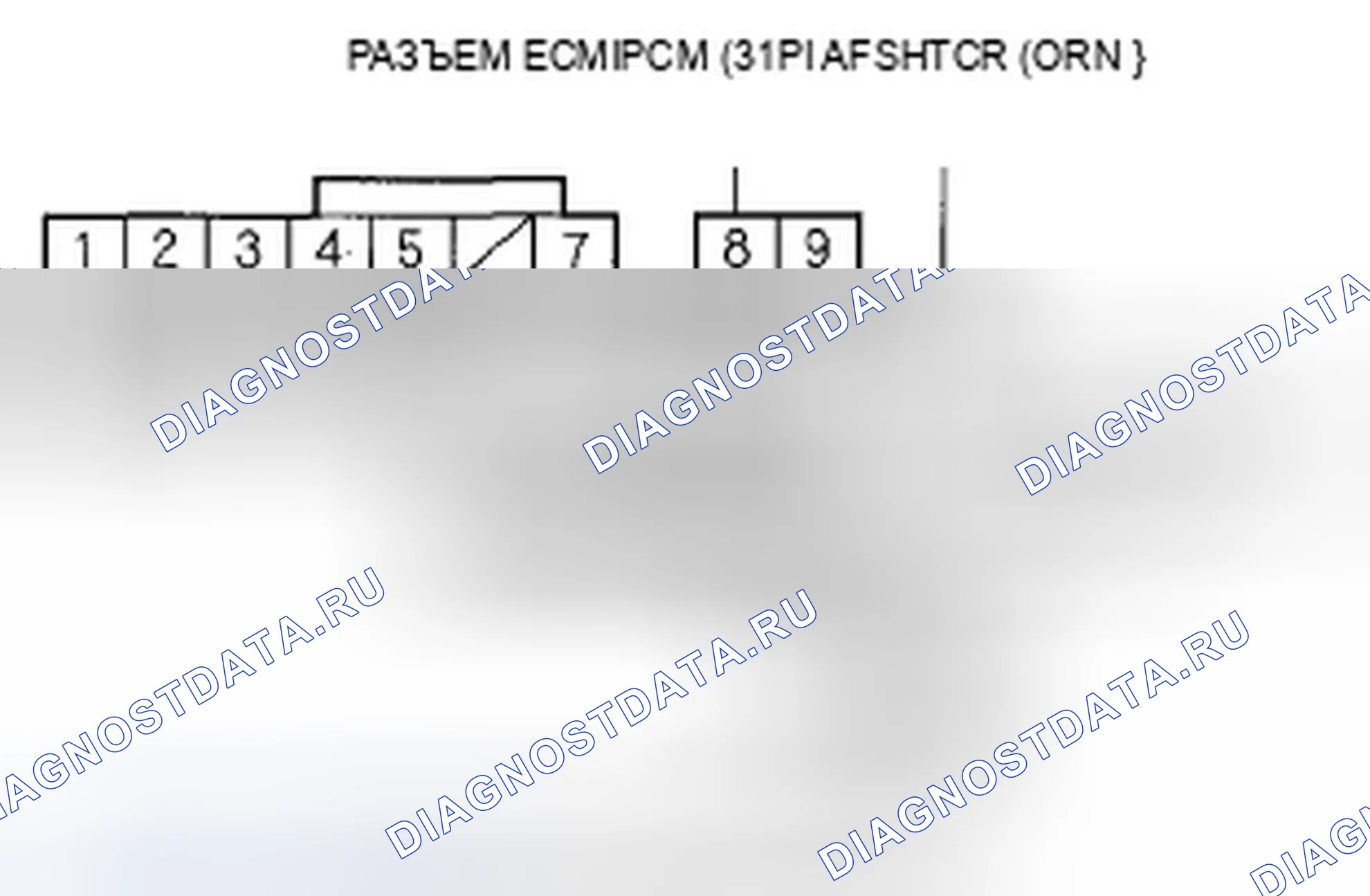 Рис. 31. Acura TSX I