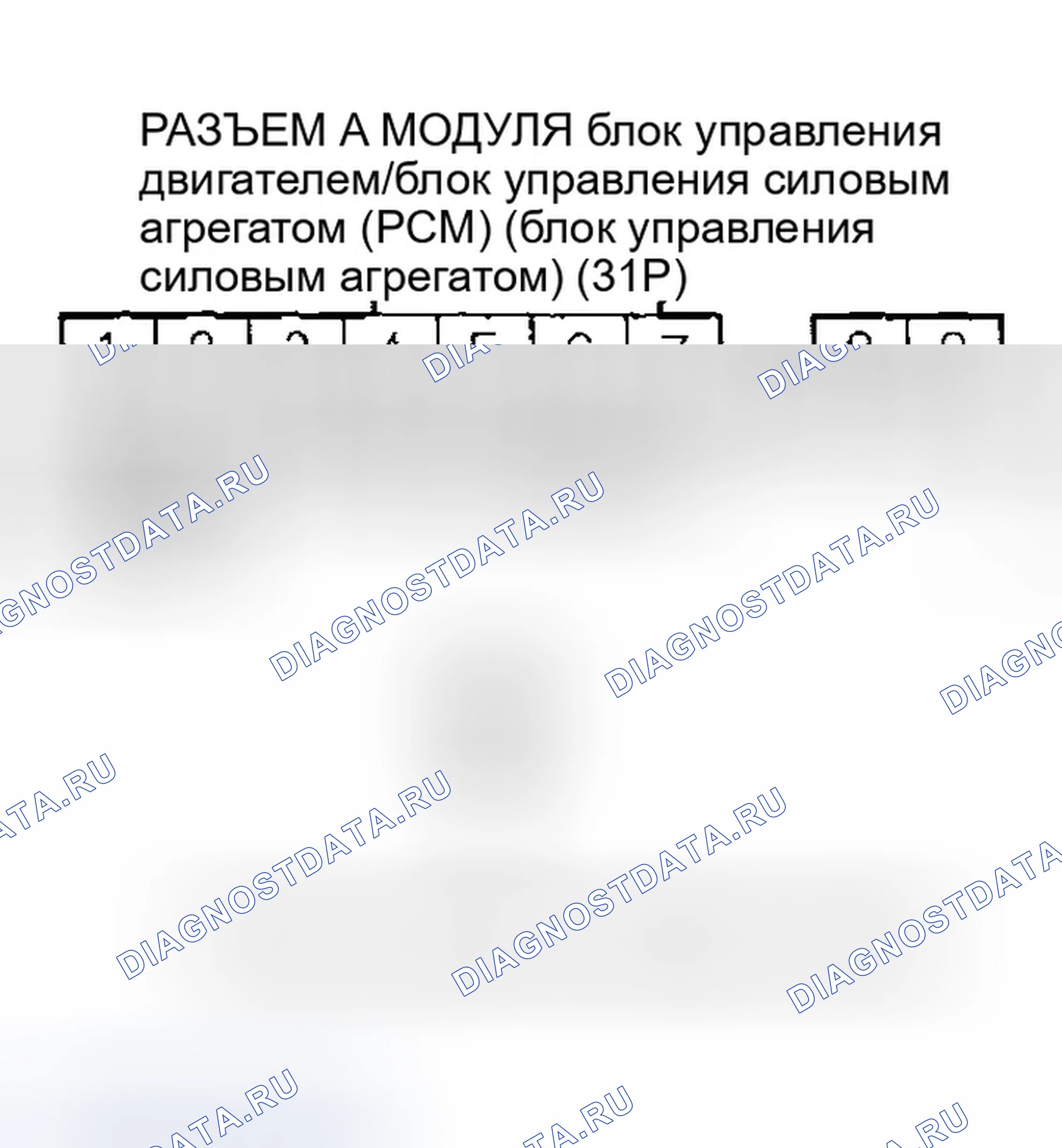 Рис. 241. Honda Accord VII рестайлинг