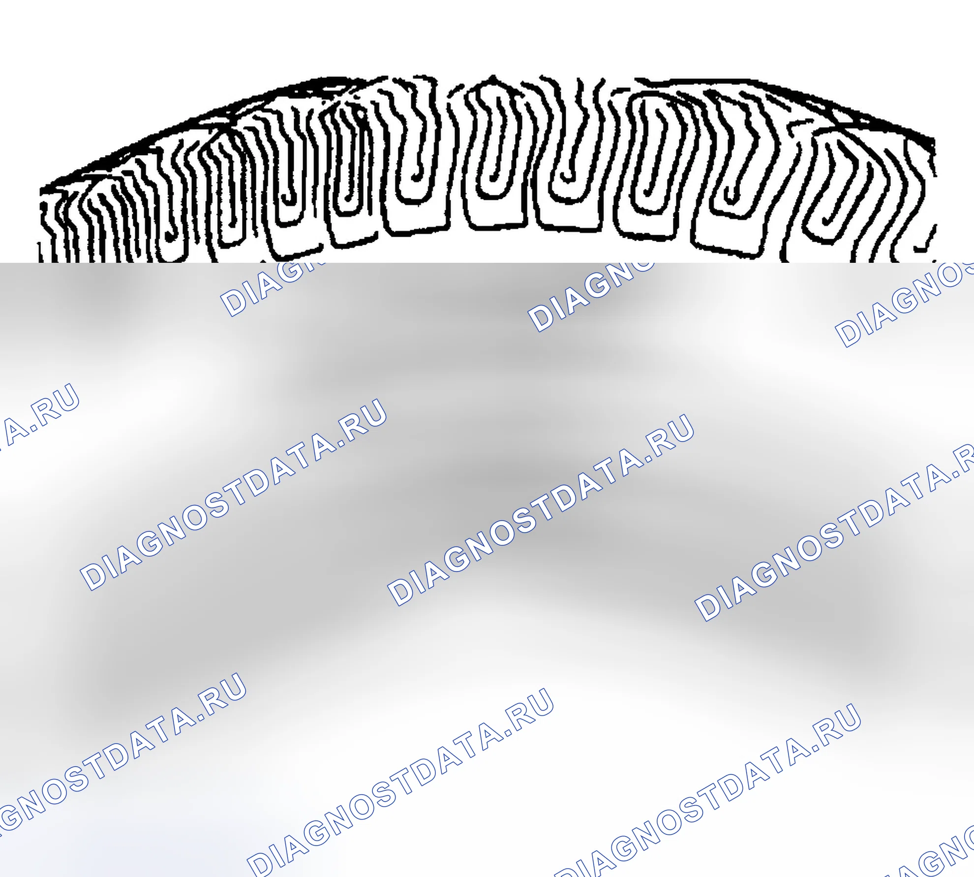 Рис. 4: Все сезоны Описание шин. Buick Century VI