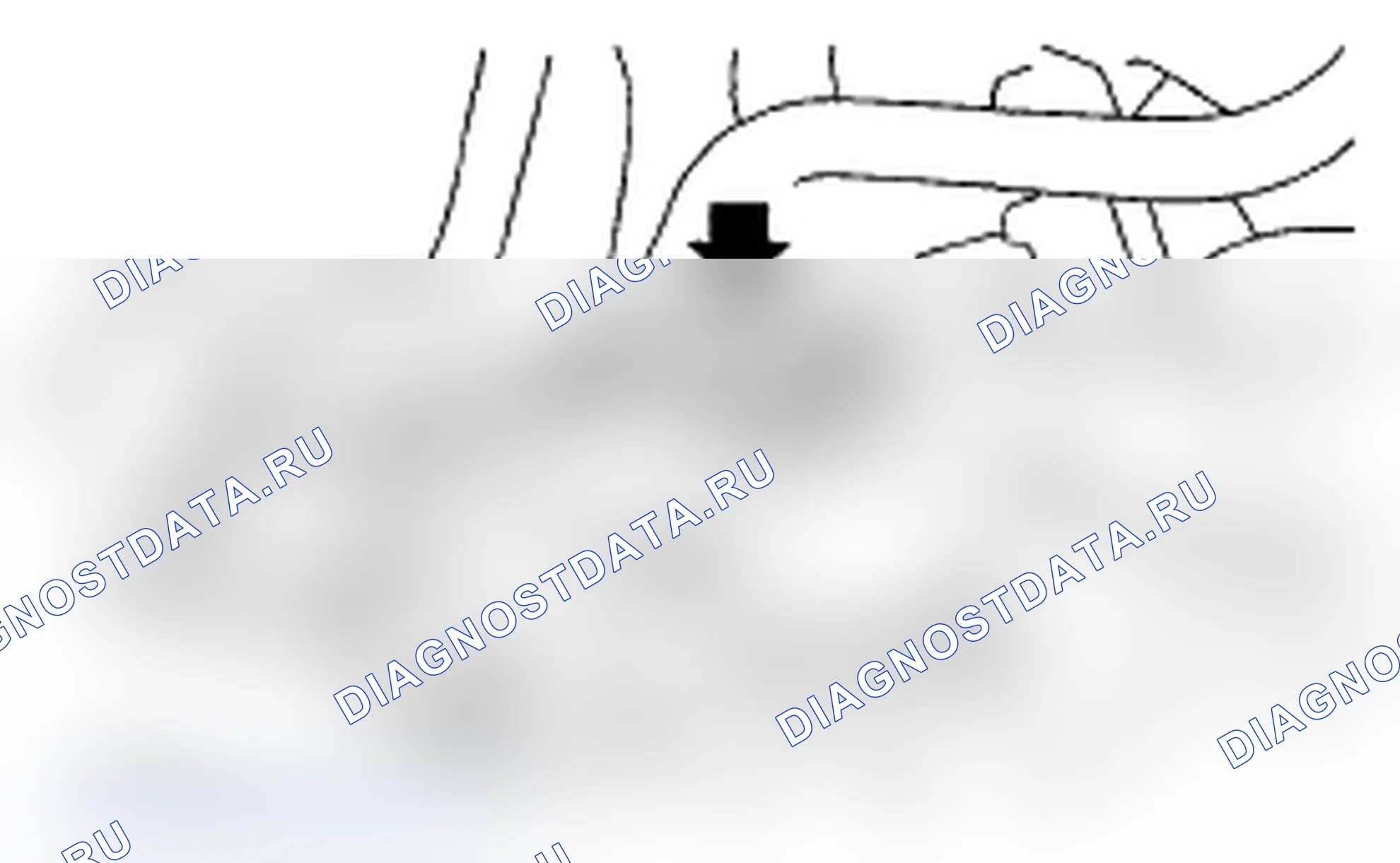 Рис. 510. Subaru Impreza WRX GD/GG рестайлинг 2