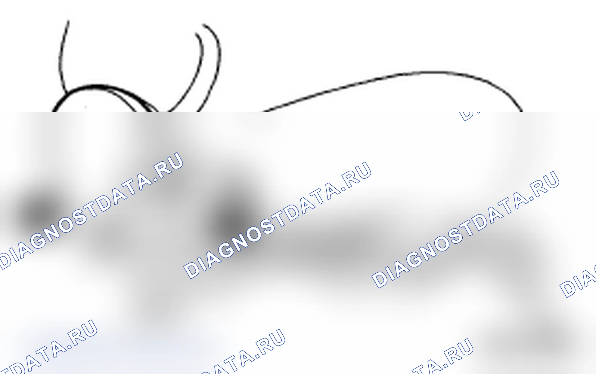 Рис. 27. Subaru Impreza WRX GH