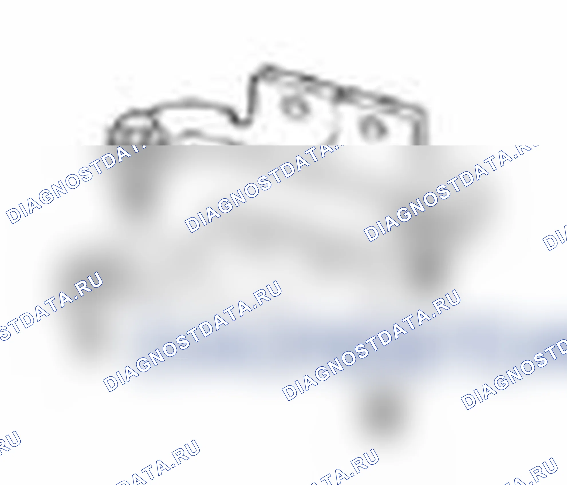 Рис. 224: Пружины клапана. Ford Focus III