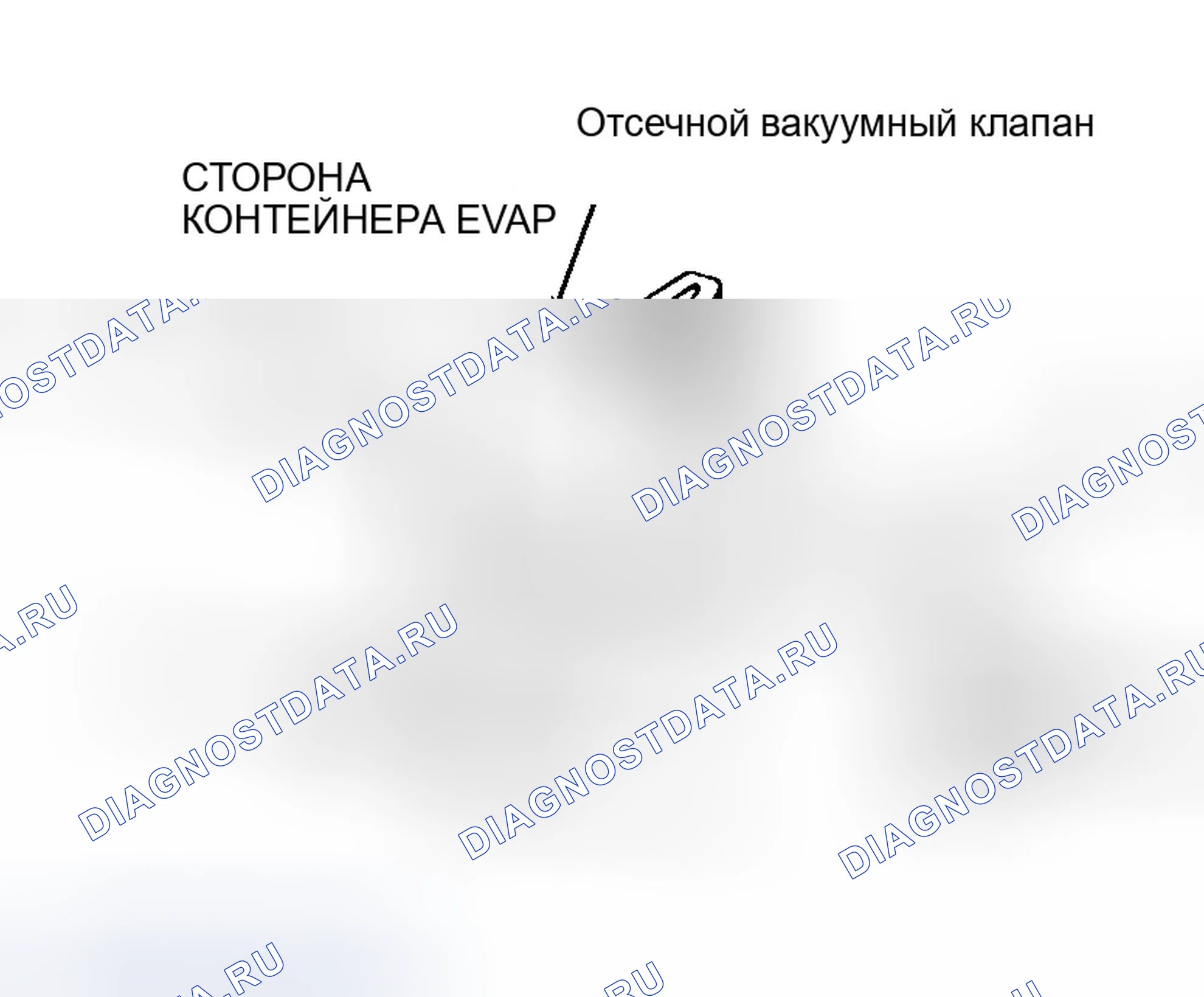 Рис. 52. Infiniti Q45 II