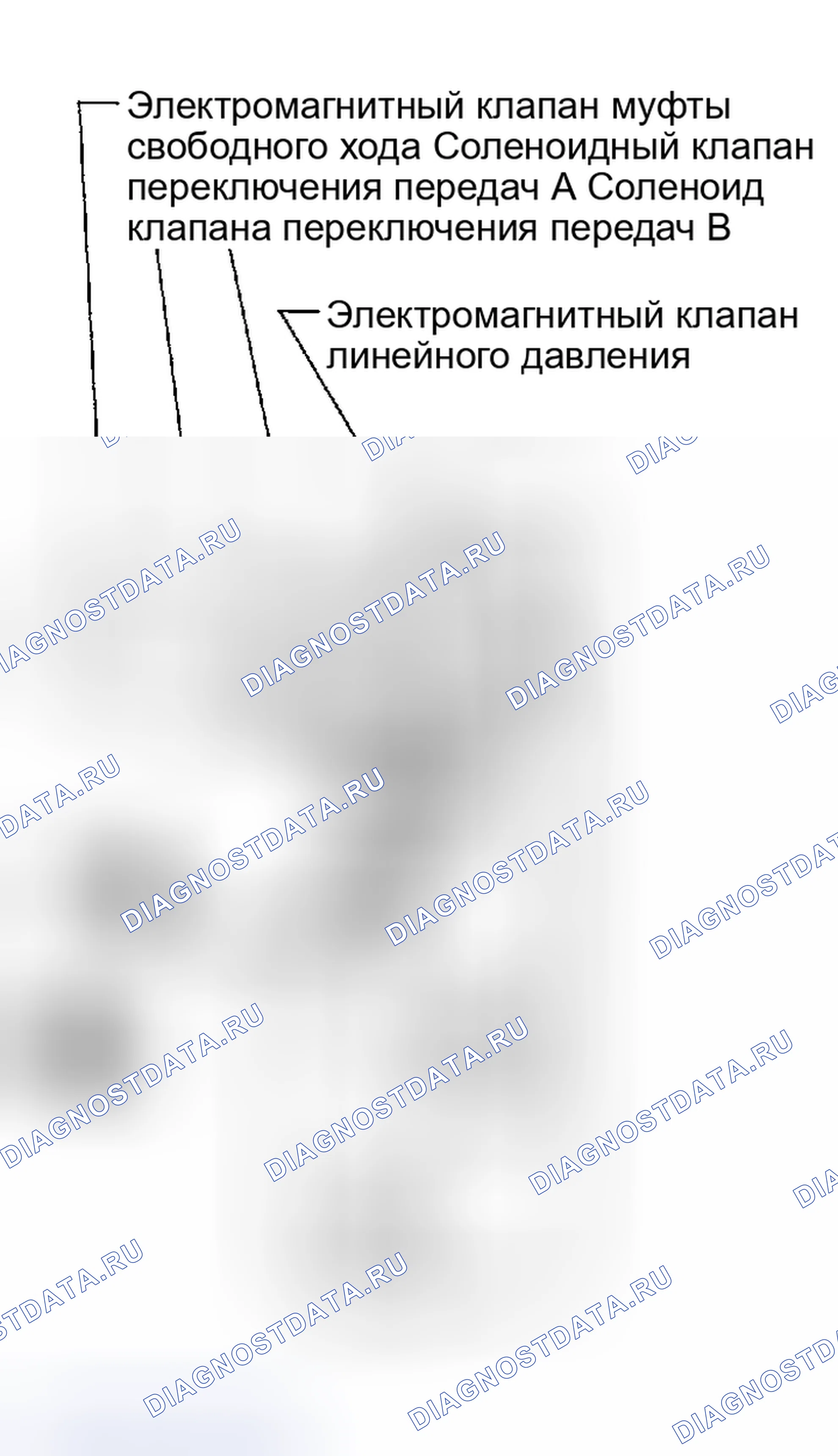 Рис. 891: ЭЛЕКТРОМАГНИТНЫЕ КЛАПАНЫ. Honda Odyssey (North America) I