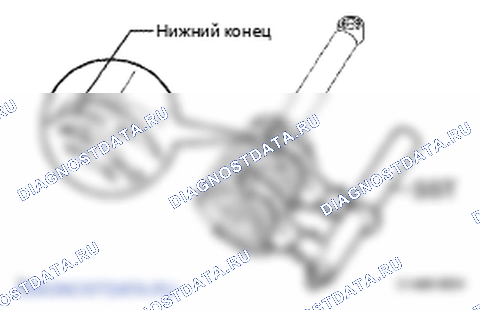 Рис. 238. Lexus LS IV