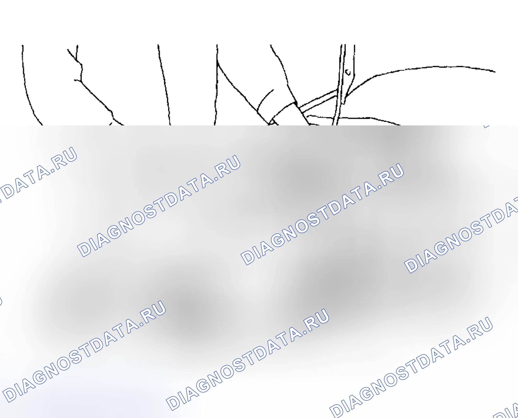 Рис. 6. Subaru Impreza GD/GC/GG