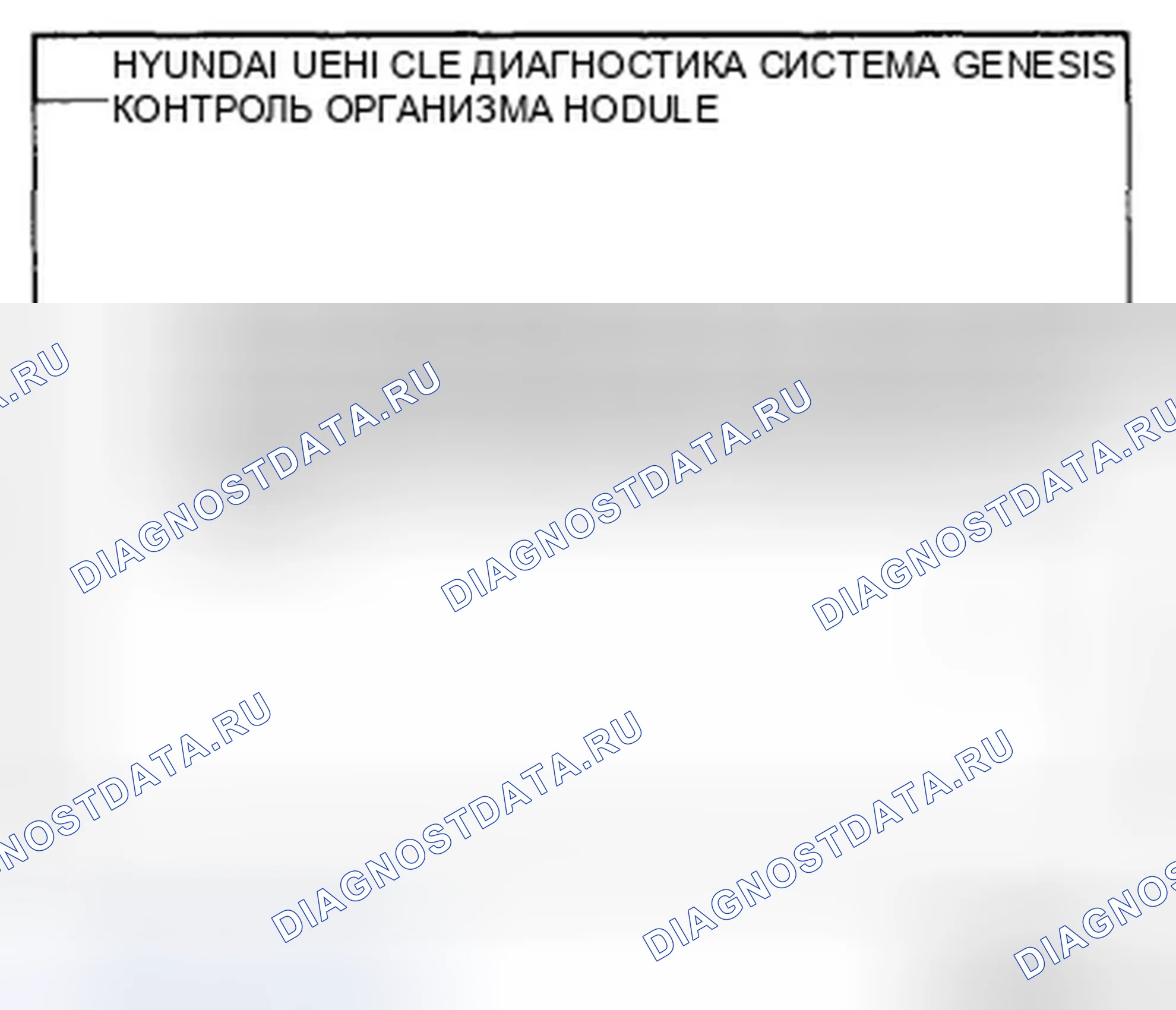 Рис. 20. Hyundai Genesis I