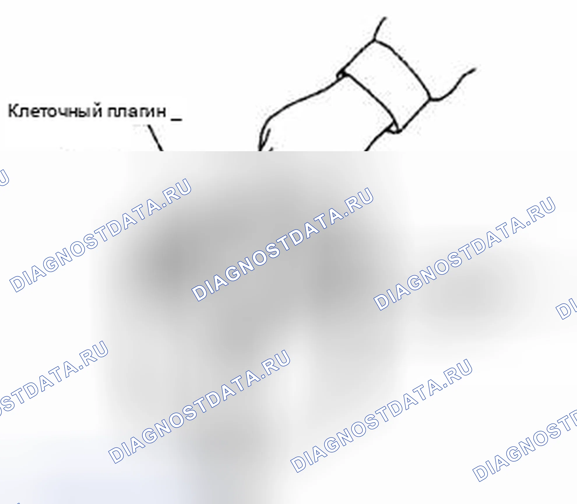 Рис. 12. Suzuki Equator I