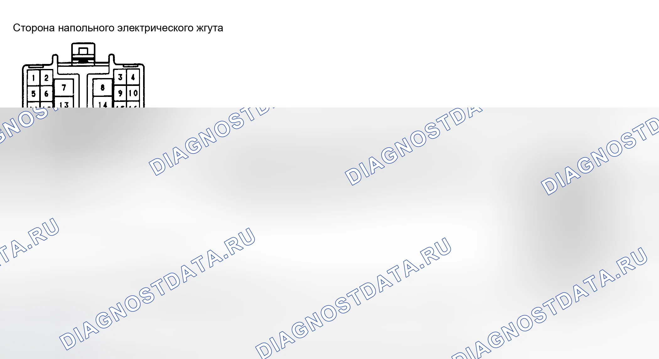 Рис. 65: Цепь (напольный жгут проводов). Lexus LS I