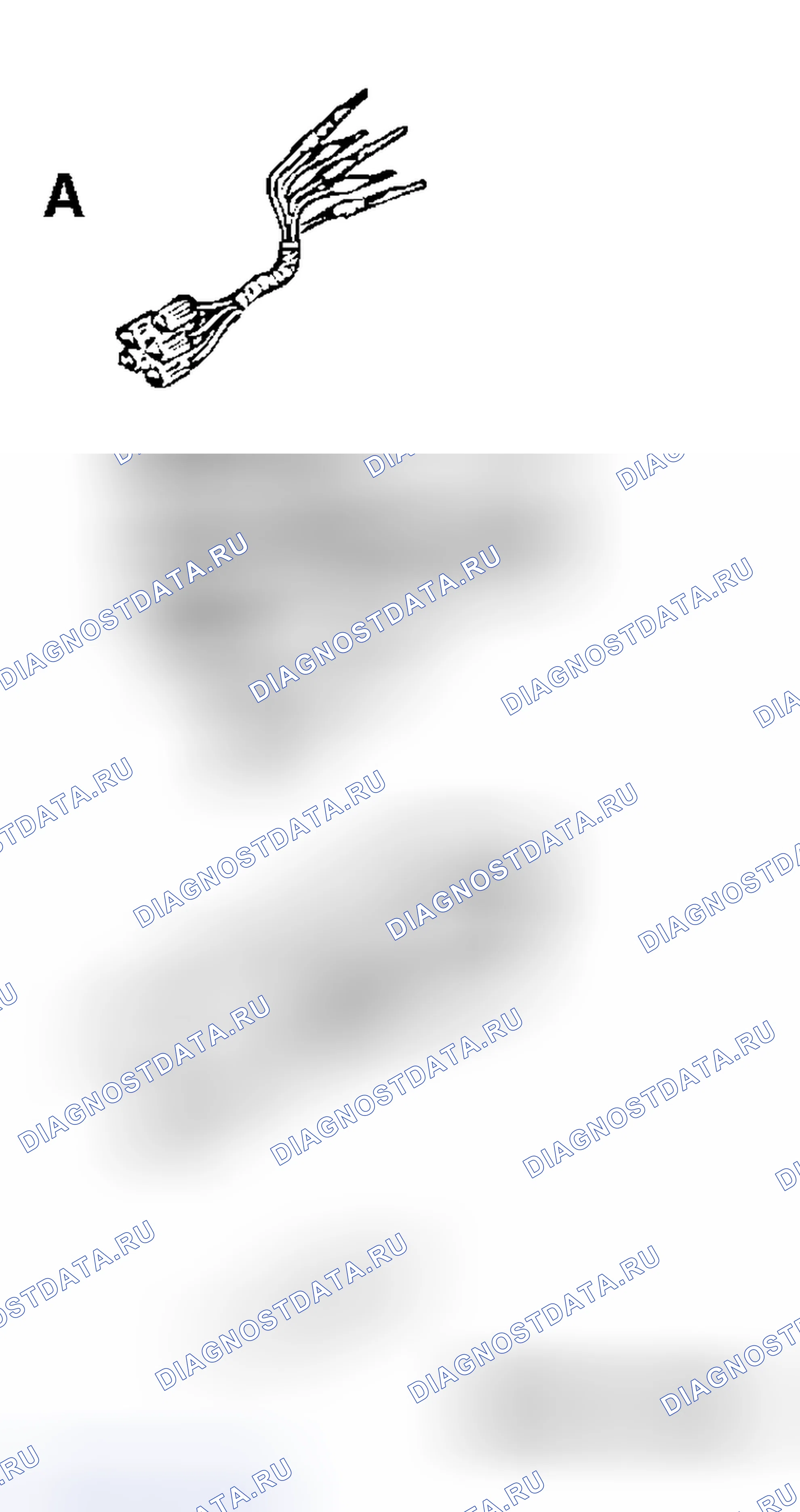 Рис. 126. Mitsubishi Galant IX рестайлинг