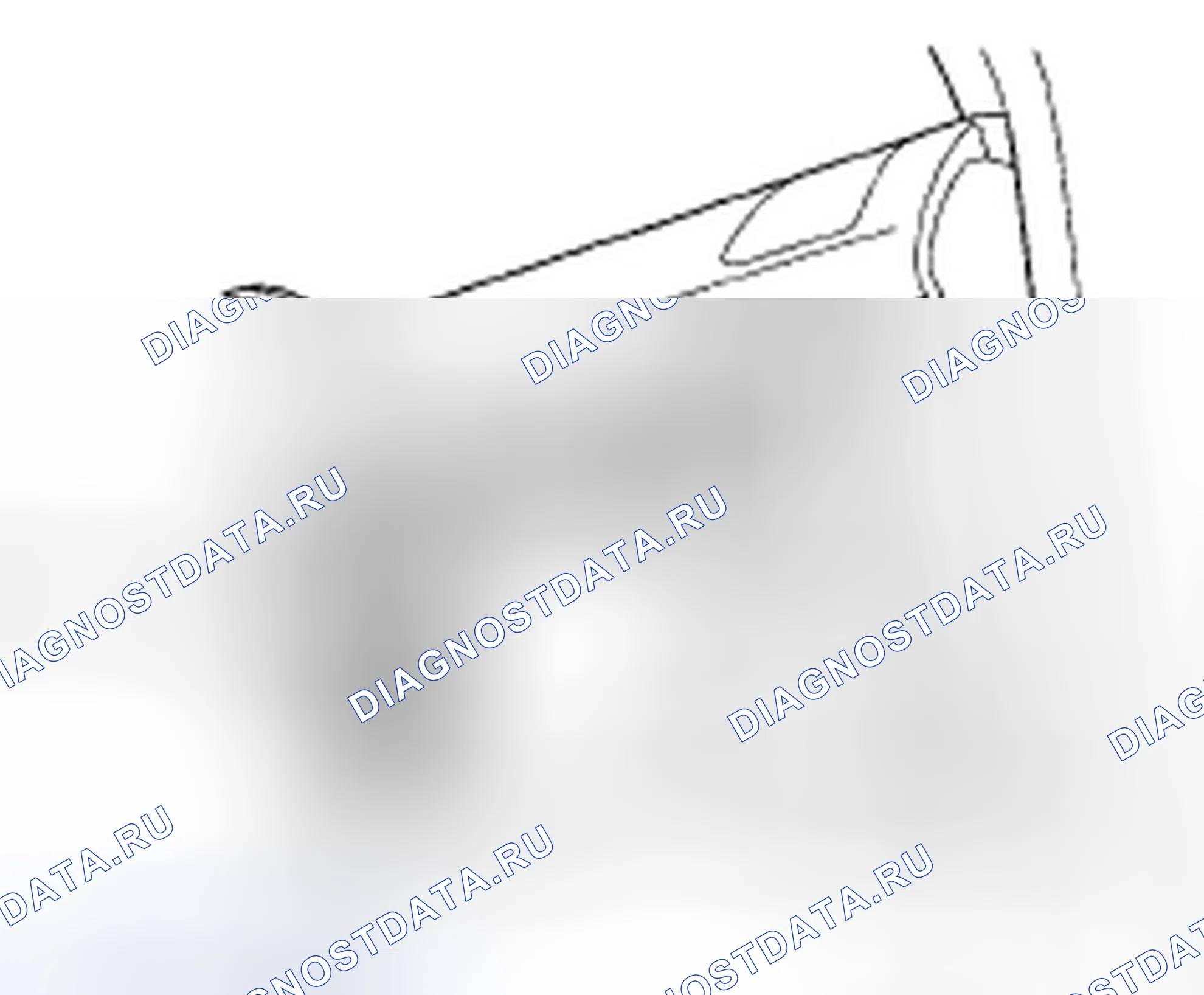 Рис. 360. Honda Pilot I