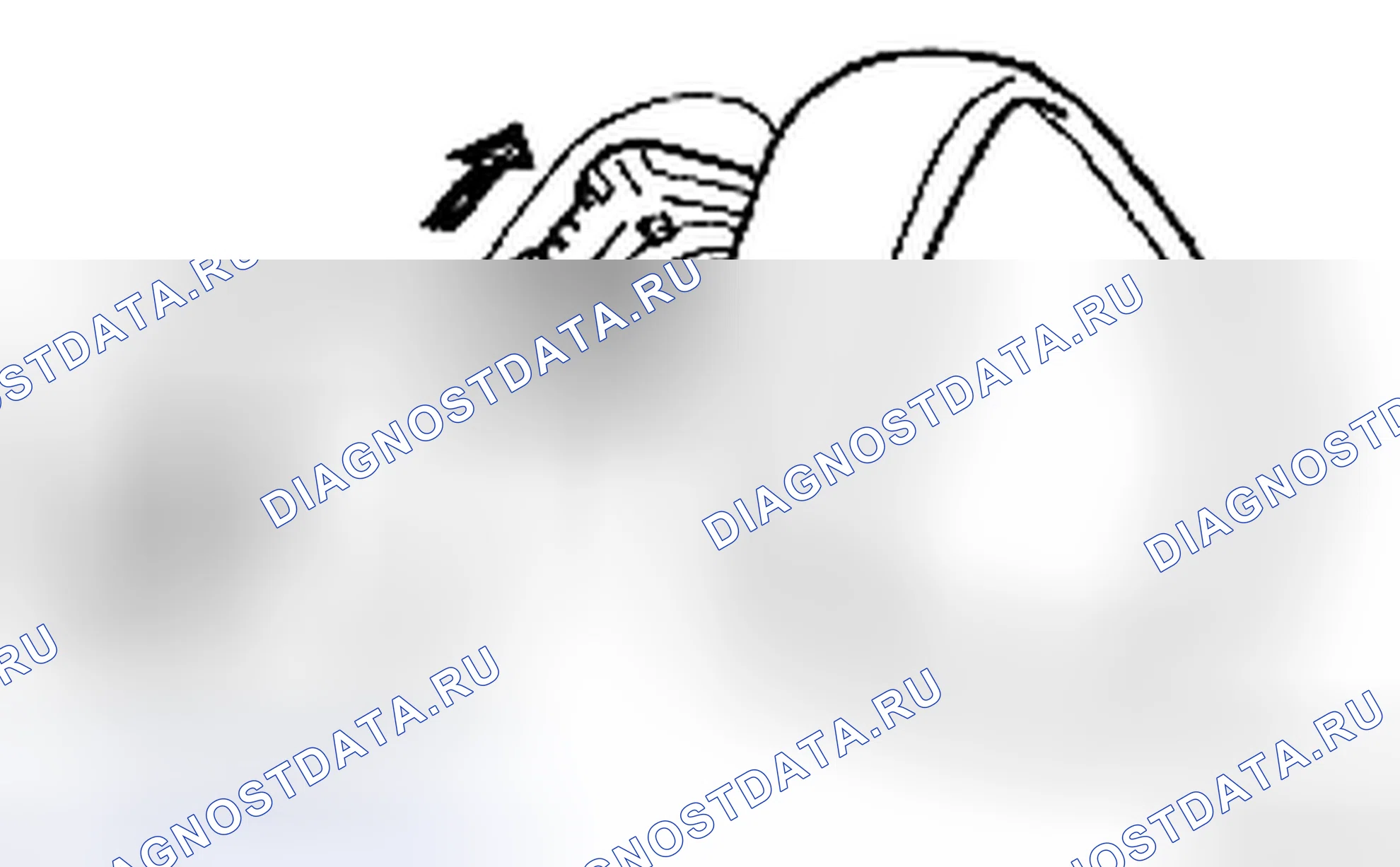 Рис. 6. Toyota Yaris II